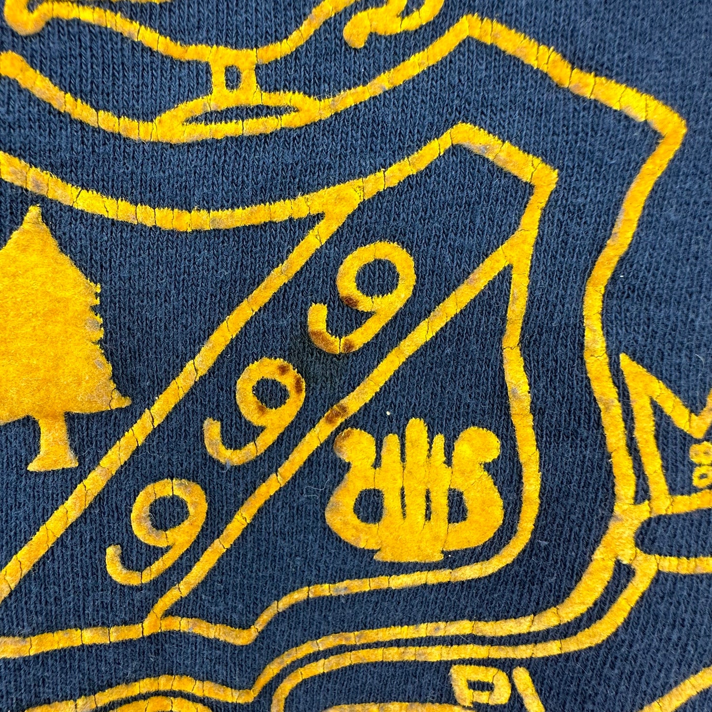 1950s Sigma Theta Pi Sorority Short Sleeve Sweatshirt, FSSC Size Large, Jewish High School Girls