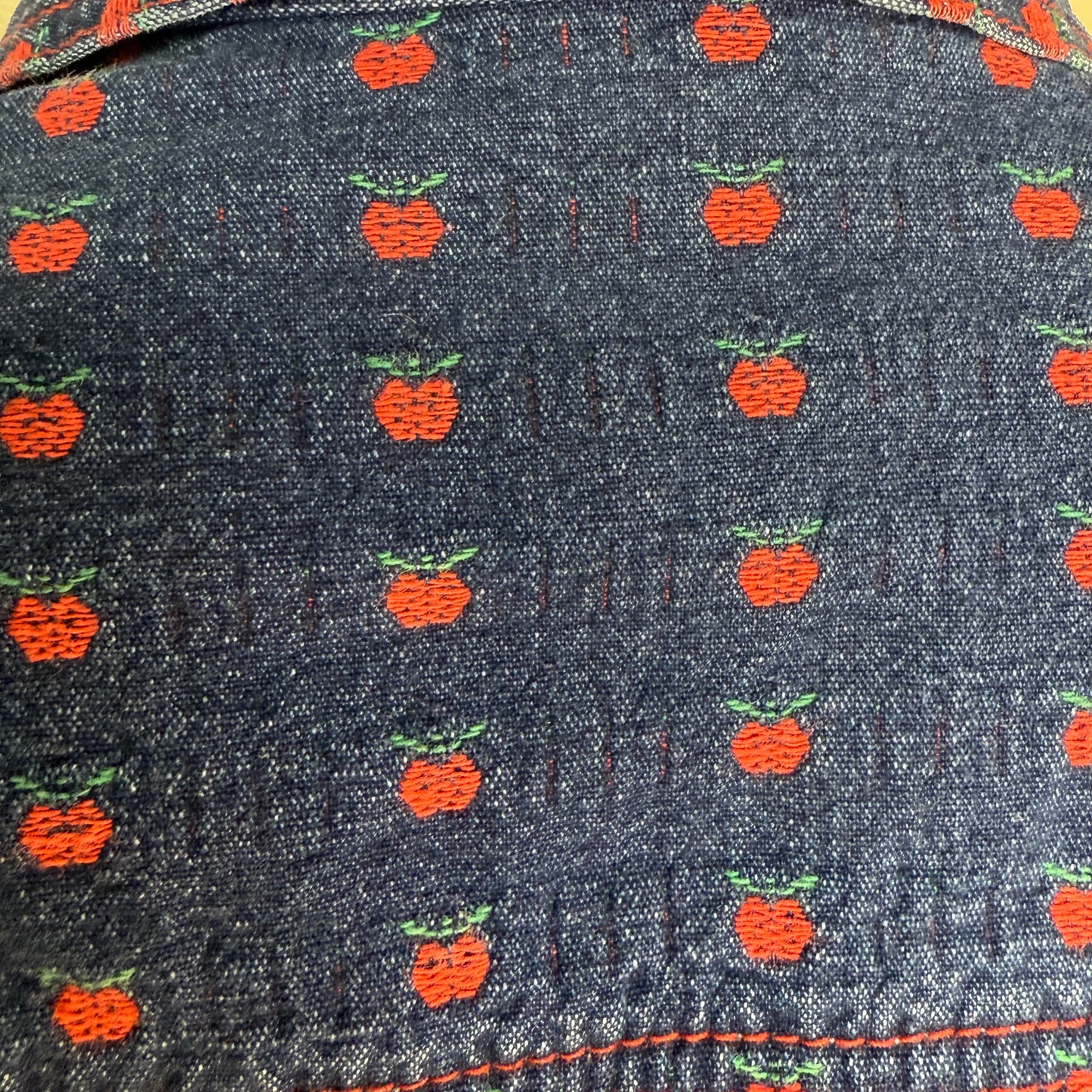 1990s Denim Jacket with Apples, T.C.F.S. Size Medium, Teacher Style