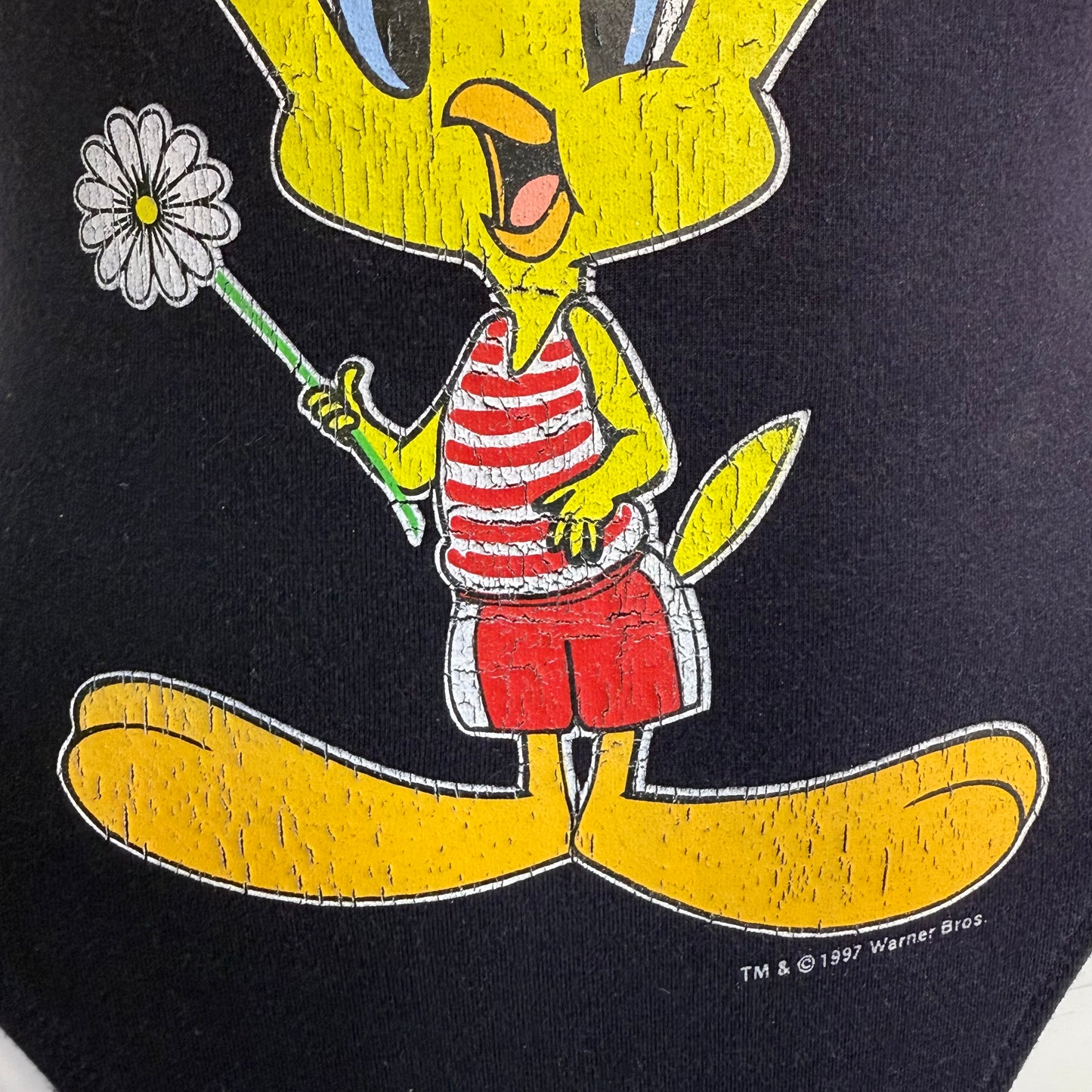 1990s Tweety Bird Swimsuit, Looney Tunes Size XS