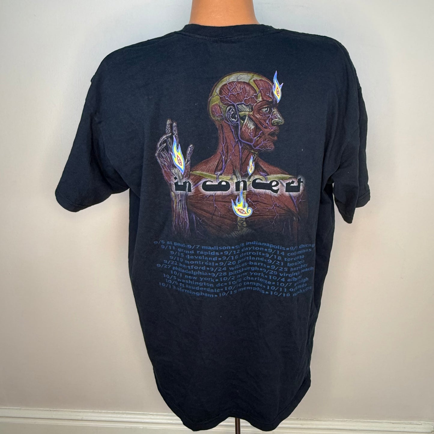 Y2K Tool Lateralus Tour T-Shirt, Anvil Size XL, In Concert 2001
