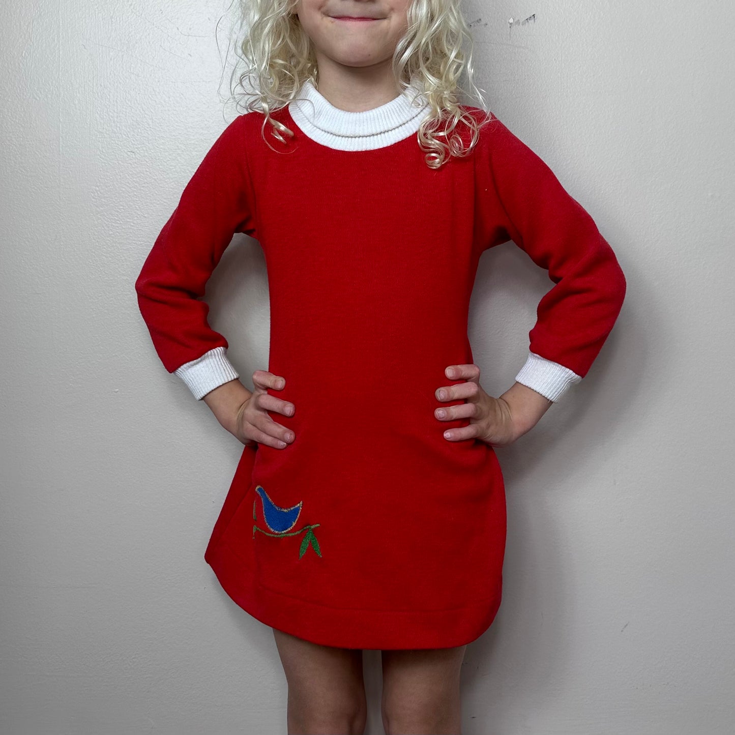 1970s/80s Red Knit Turtleneck Dress with Blue Bird Appliqué, Health-tex Size 4T