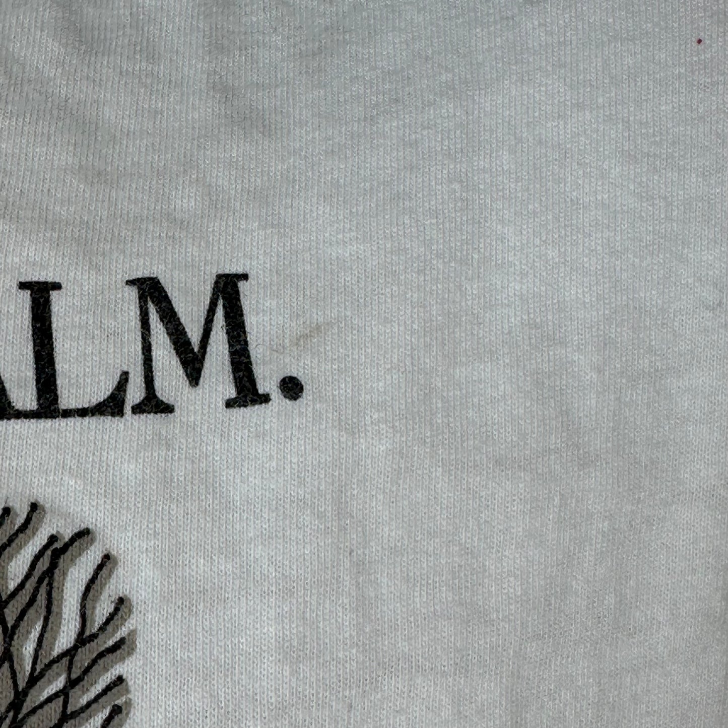 1990s I Am Perfectly Calm T-Shirt, Hanes Size M/L, Stressed Out Cat, Design Design Inc