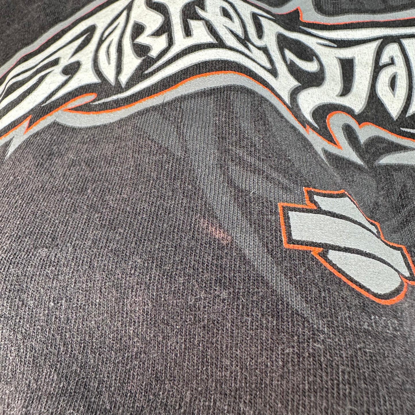 Y2K Harley Davidson Motorcycles Spiderweb Long Sleeve T-Shirt, Size XL, 2003 RK Stratman, Jones Hot Springs Arkansas