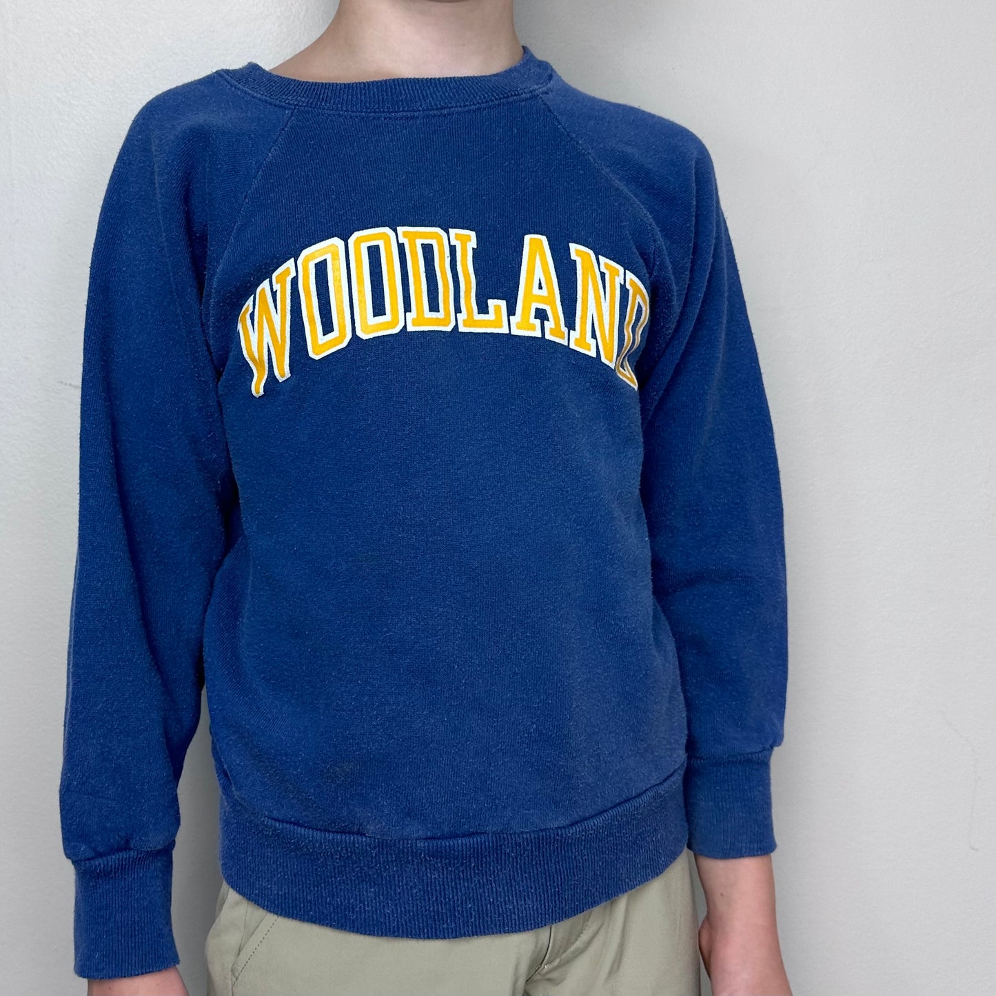 1980s Woodland Presbyterian School Sweatshirt, Champion Size Youth 8, Memphis