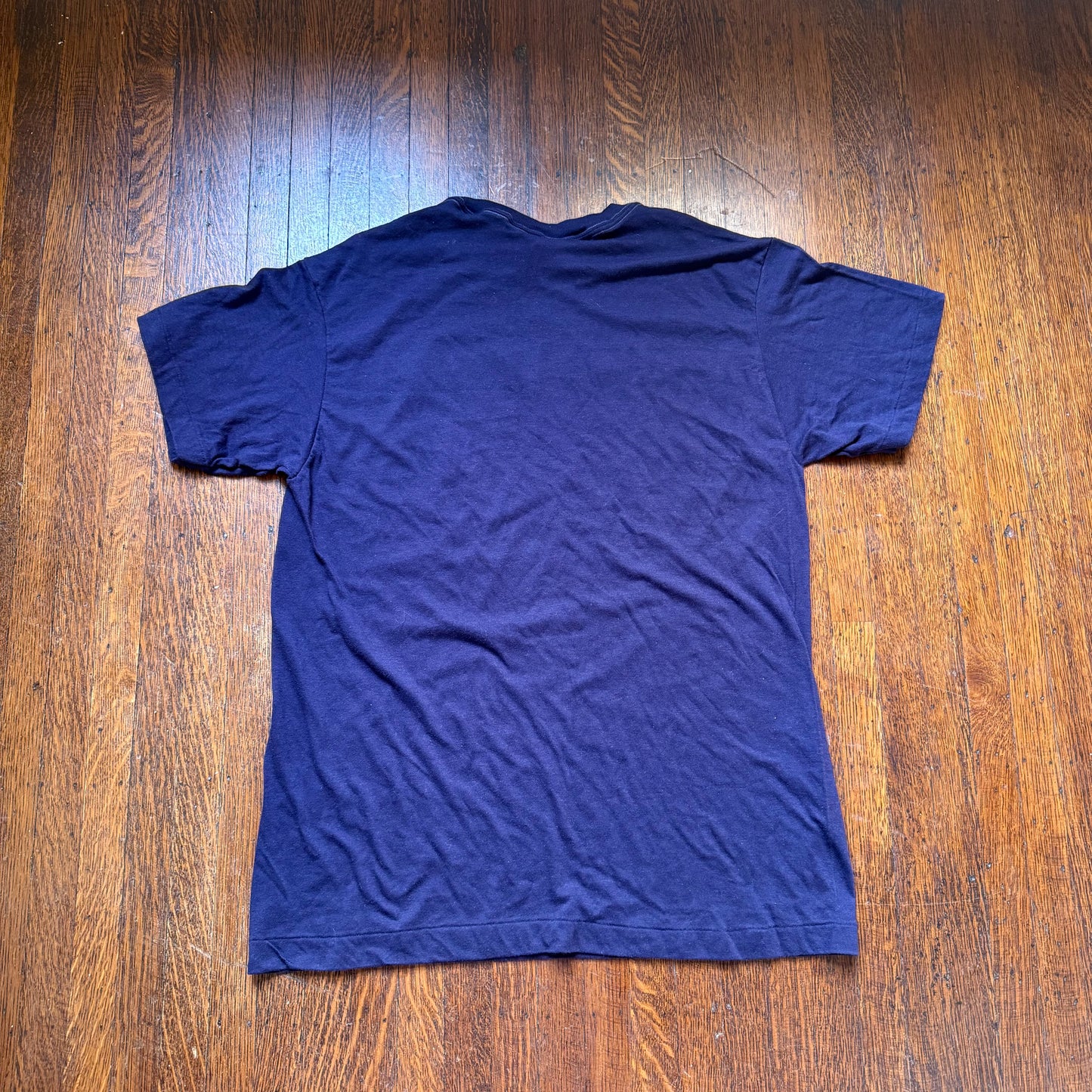 1980s Fed Ex T-Shirt, Zap It To Me! Federal Express Zap Mail July 1984, Ched Size M/L