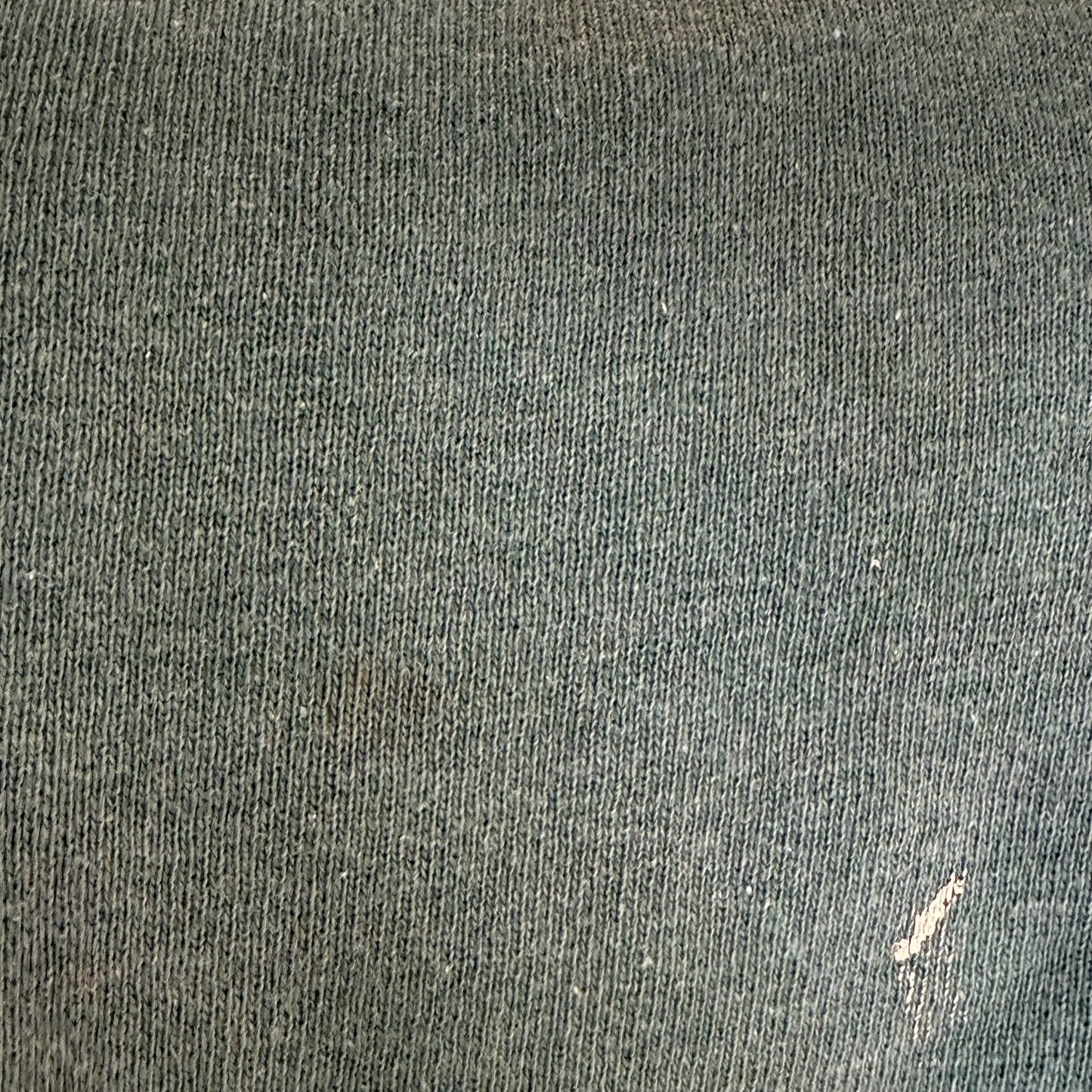 1950s/60s Illinois University Sweatshirt, Size Medium-Large, Faded Green