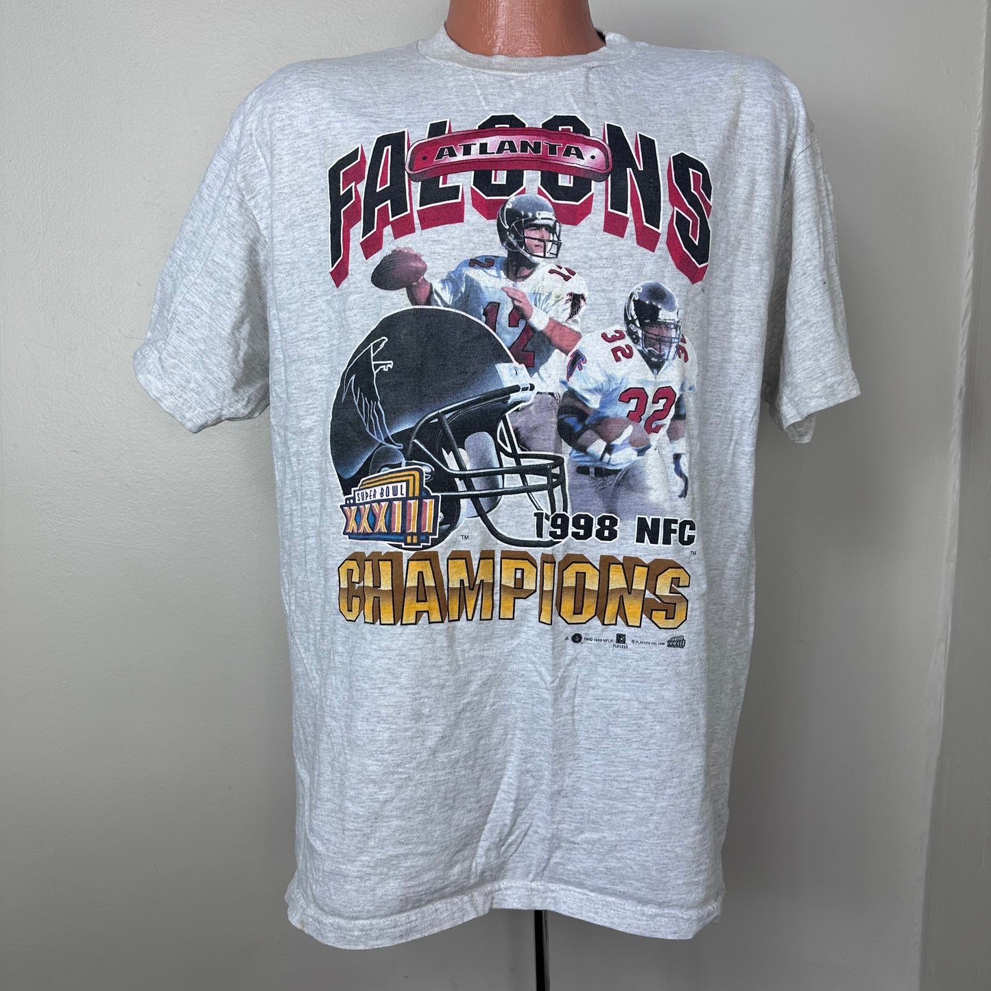 1990s Atlanta Falcons T-Shirt, 1998 NFC Champions, Super Bowl XXXIII, 1999 NFL, Tultex Size Large