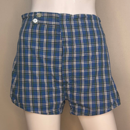 1950s/60s Men’s Blue Plaid Swim Trunks, Cotton Swimsuit Shorts, Size Medium