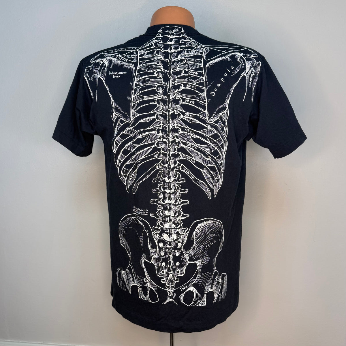 1980s Leslie Arwin Skeletees T-Shirt, Anatomy Skeletal System, Screen Stars Best Size M/L, 1978 The Athletic Supporter, All Over Print Skeleton