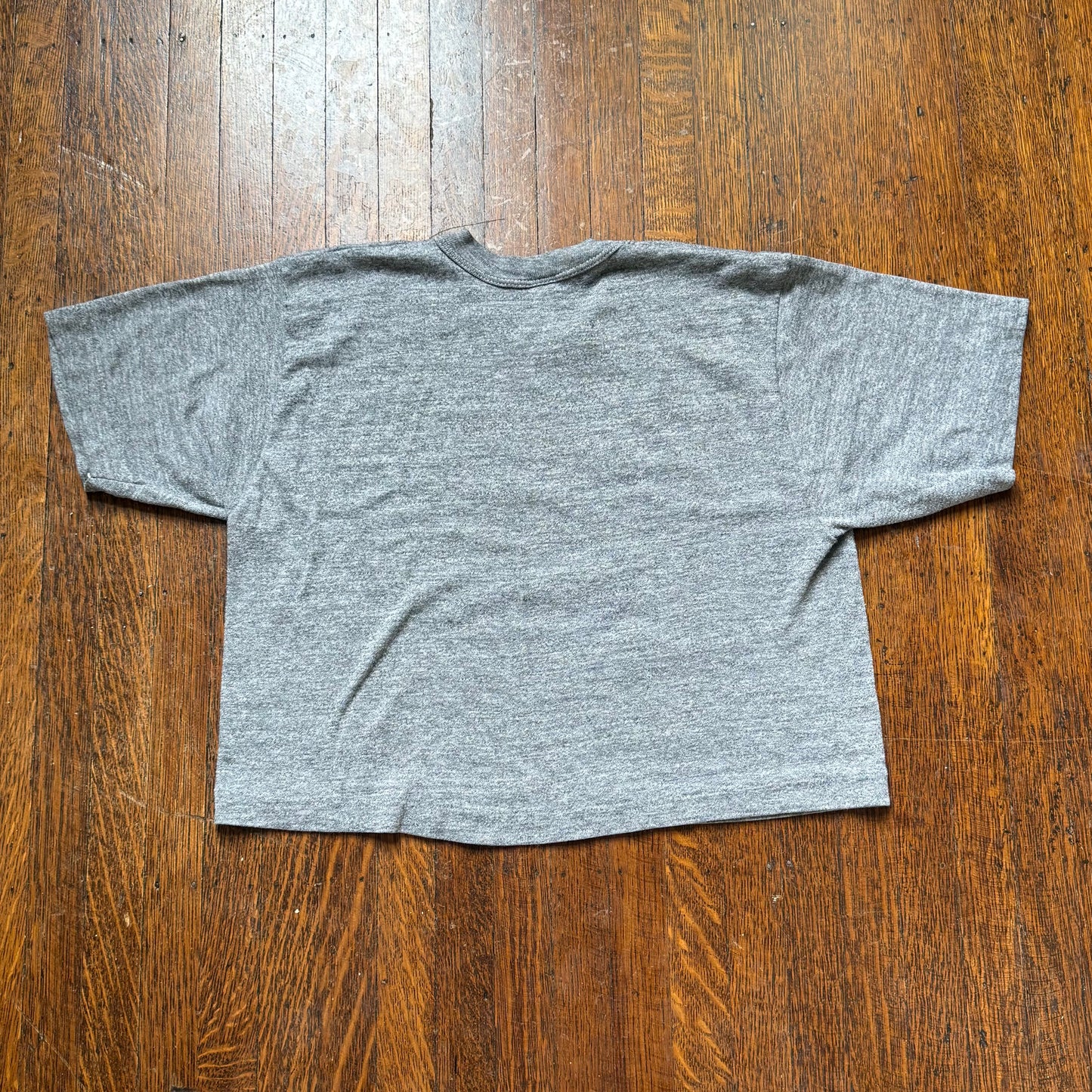 1980s Ole Miss Football Cropped T-Shirt, Sportswear Size Small, University of Mississippi Rebels, Colonel Reb