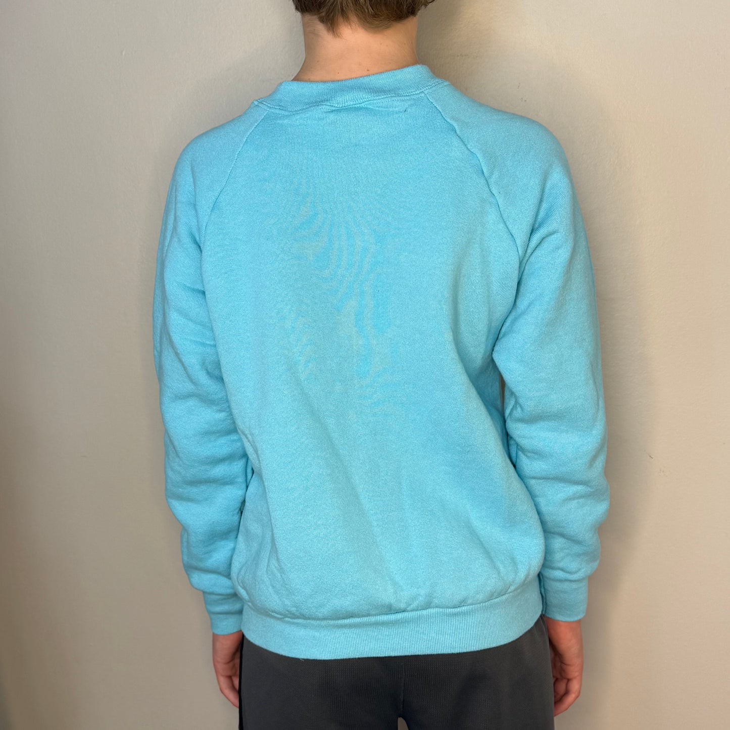 1990s Graceland Sweatshirt, Home of Elvis Presley, Fruit of the Loom Youth Large/Adult XS, Teddy Bear