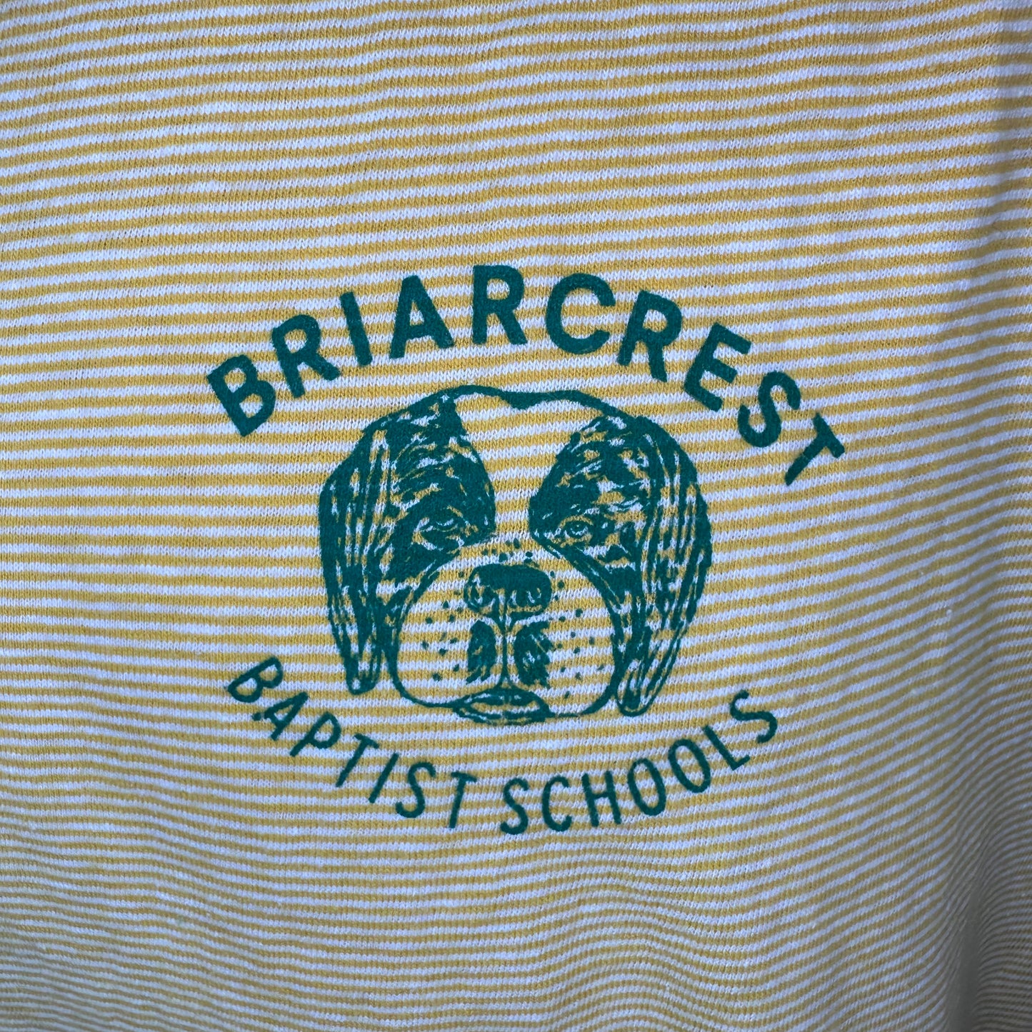 1970s Briarcrest Baptist Schools Yellow Stripe T-Shirt, Champion Blue Bar Size M/L