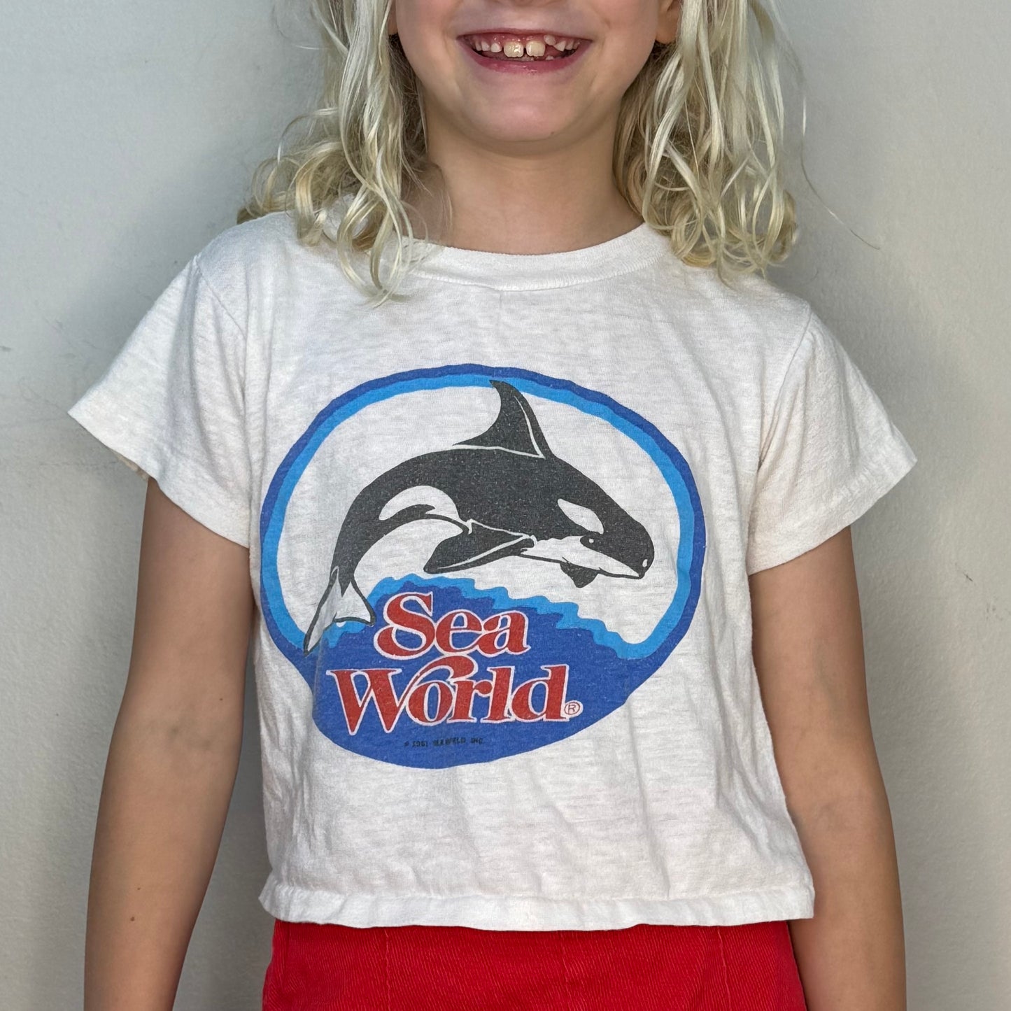 1980s Sea World Cropped T-Shirt, Shamu Orca Whale, Size 8/10