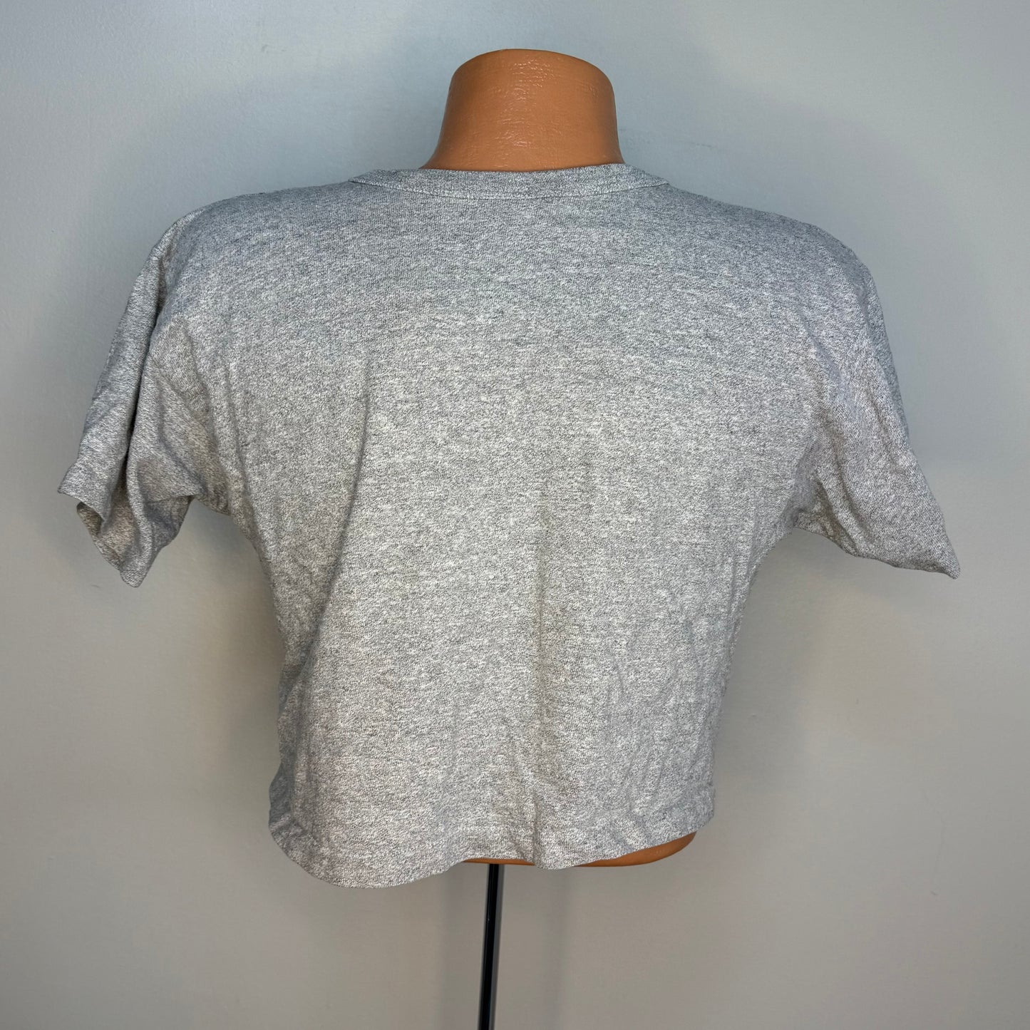 1980s MUS Owls Football Cropped T-Shirt, Champion Size Medium, Memphis University School