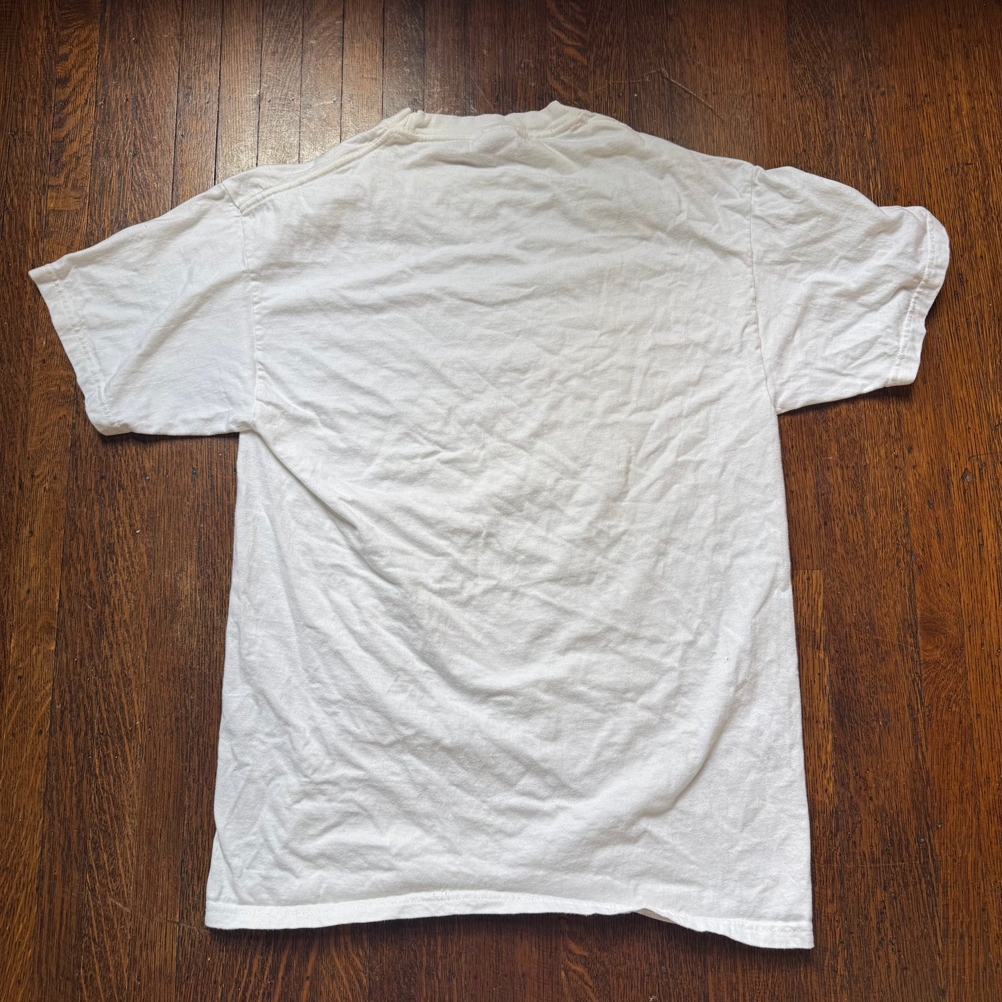 Y2K Memphis Grizzlies Commemorative NBA Front Page T-Shirt, Commercial Appeal, Hanes Beefy T Size Medium