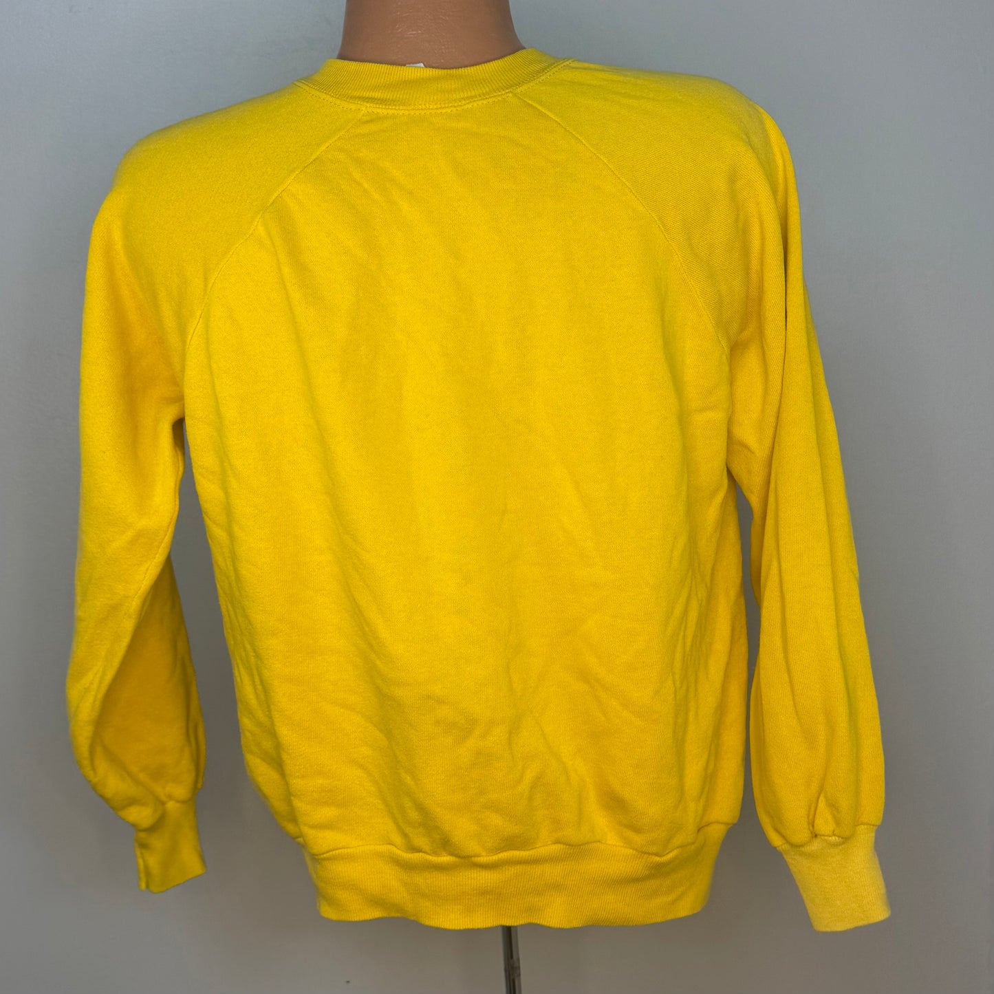 1980s State University of Iowa Sweatshirt, Pannill Size Large