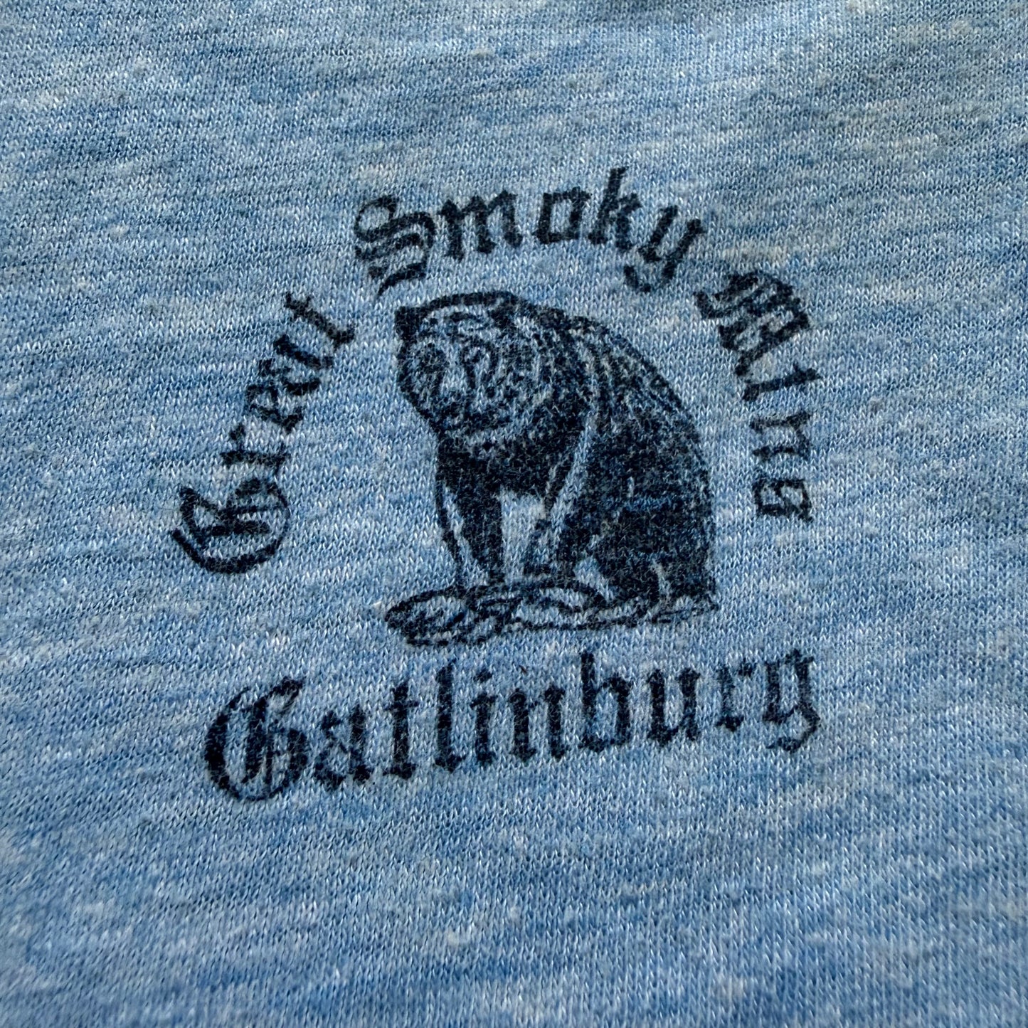 1980s Great Smoky Mtns Gatlinburg T-Shirt, Diamond G Size 6-8, Blue Ringer Tee