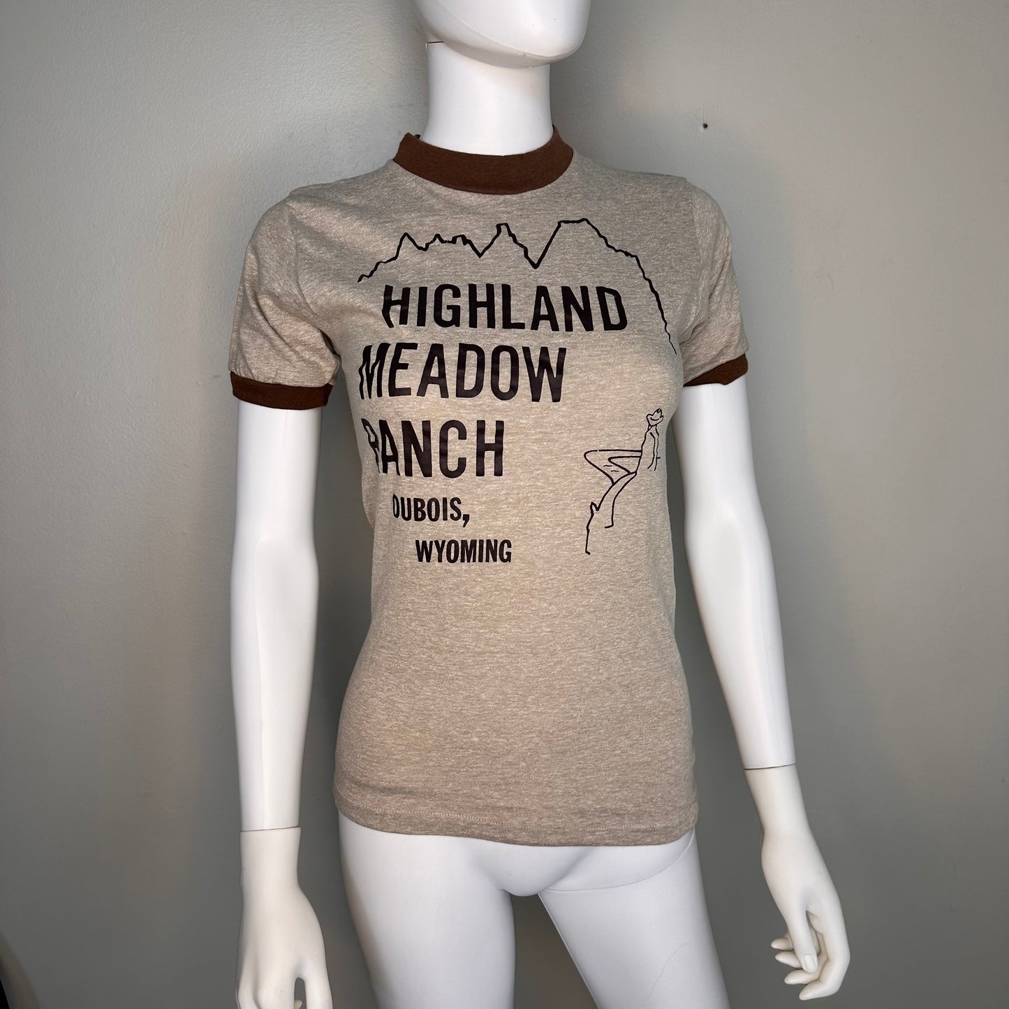 1980s Highland Meadow Ranch Dubois Wyoming T-Shirt, Bantams Size XS, Brown Heather Ringer Tee