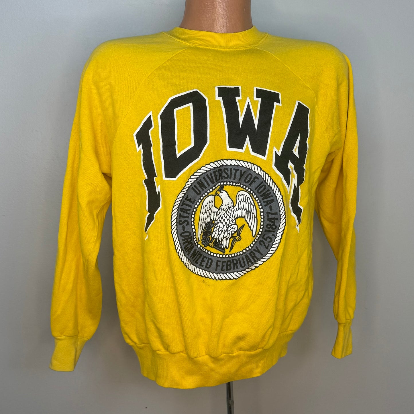 1980s State University of Iowa Sweatshirt, Pannill Size Large