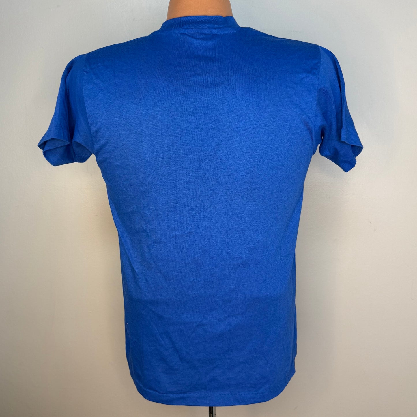 1980s I Only Party with the Best T-Shirt, Hanes Size Small, Rainbow, Glitter