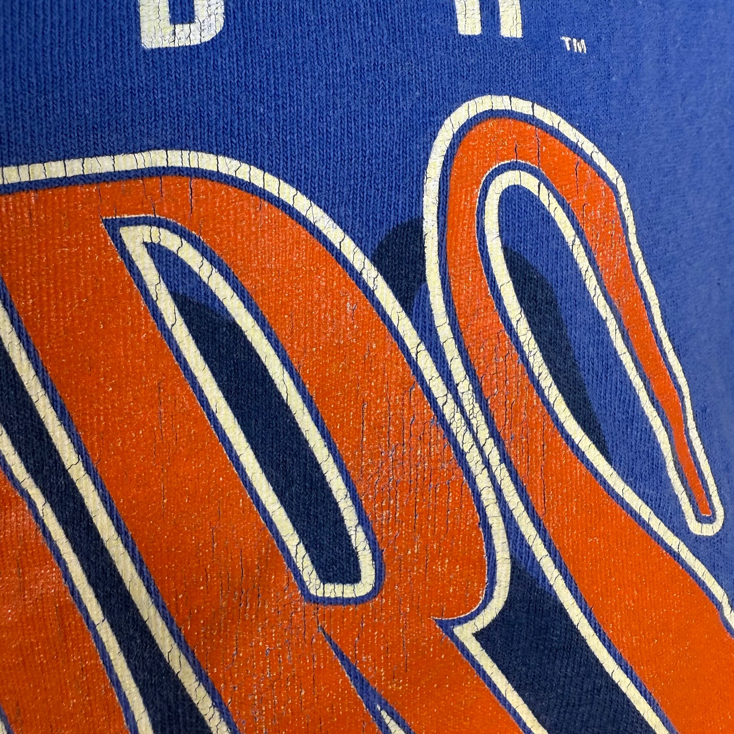 1990s Florida Gators T-Shirt, University of Florida, Hanes Size Large