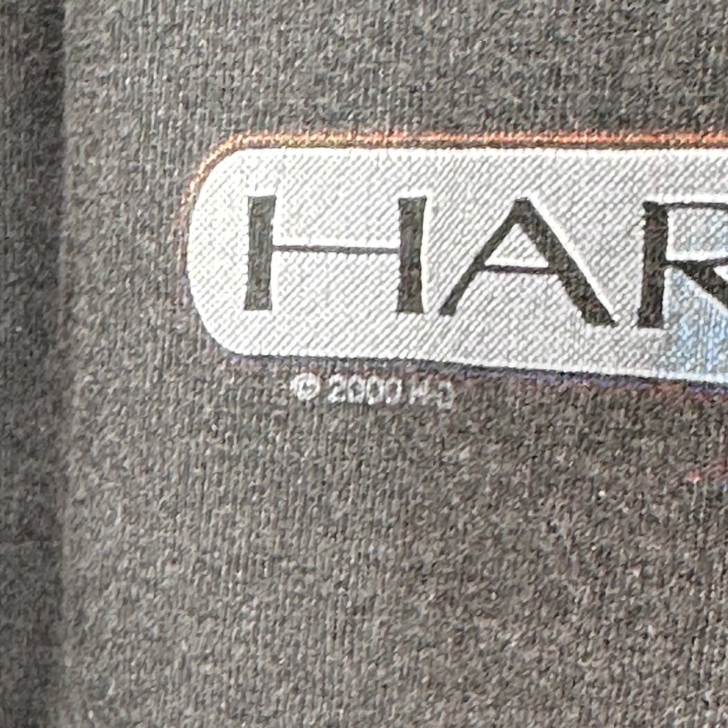 Y2K Harley Davidson Motorcycles Tank Top, Size XXL, 2000 Flaming Eagle, Bumpus Memphis Tennessee, RK Stratman
