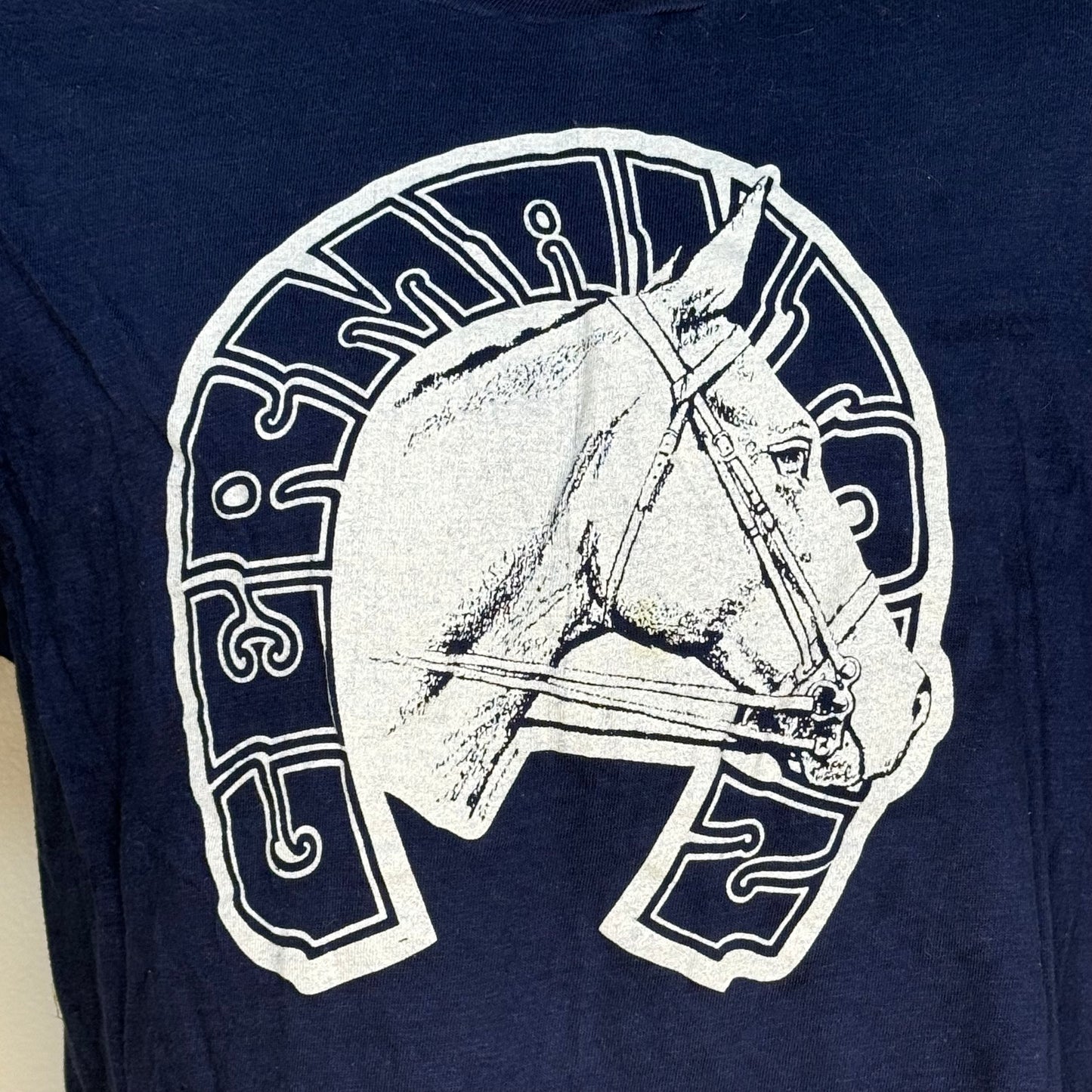 1970s/80s Germantown Charity Horse Show T-Shirt, Hanes Size Large