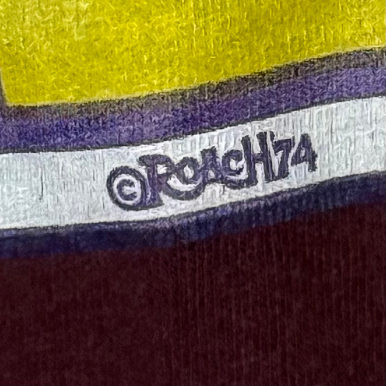 1970s LSU Tigers T-Shirt, Louisiana State University, Roach 74, Russell Athletic Size Medium