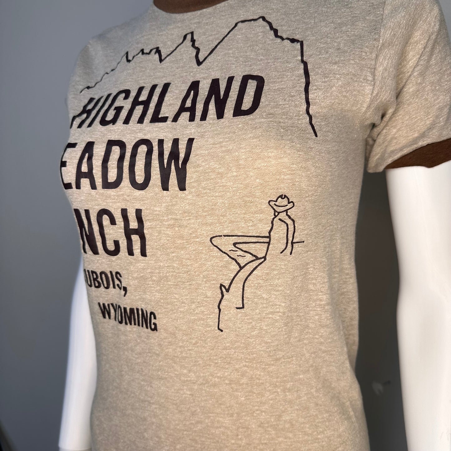 1980s Highland Meadow Ranch Dubois Wyoming T-Shirt, Bantams Size XS, Brown Heather Ringer Tee