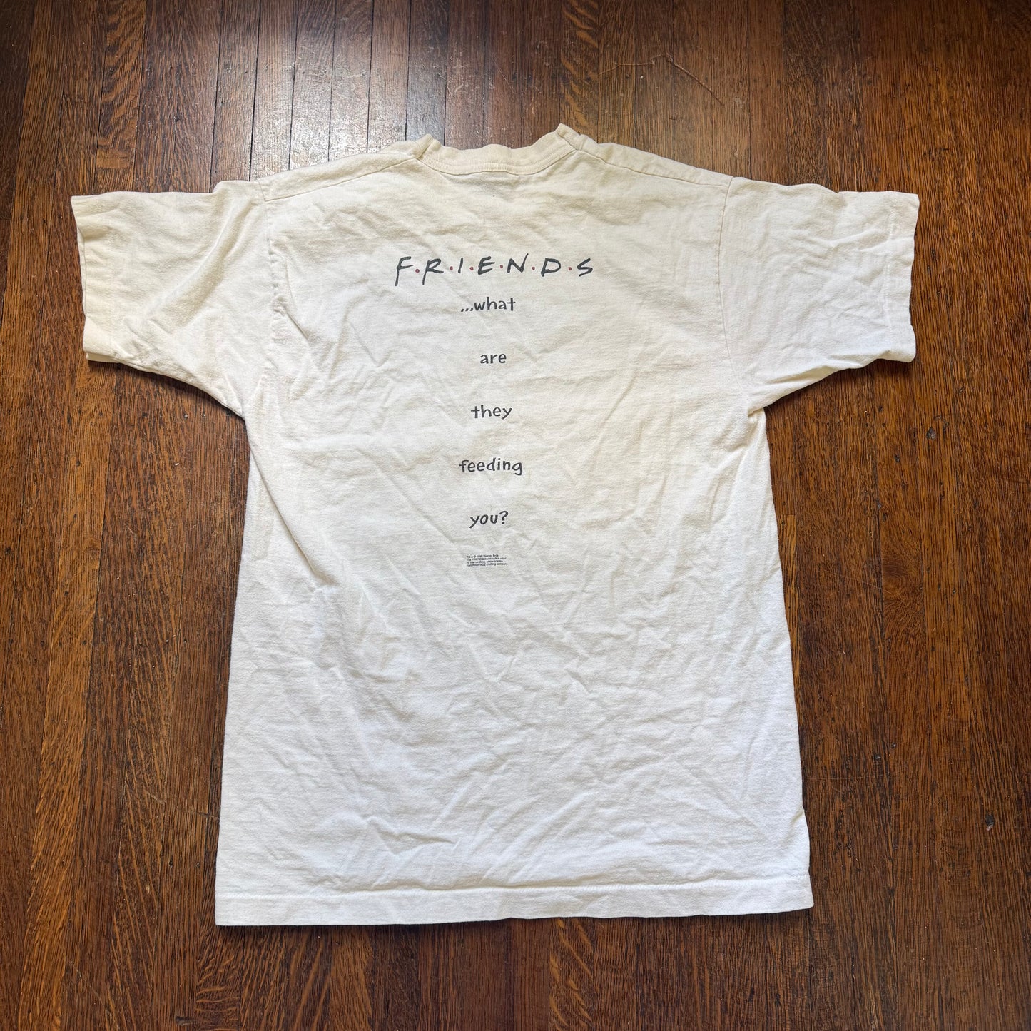 1990s Friends TV Show Smelly Cat T-Shirt, Fruit of the Loom Size Large
