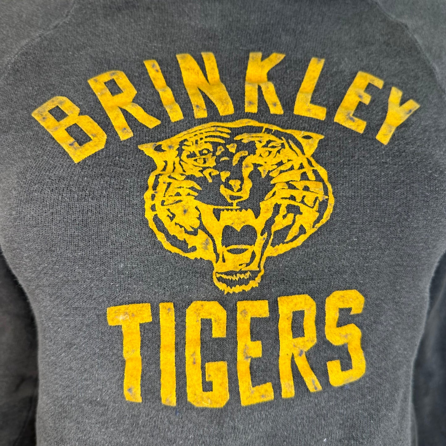 1960s Brinkley Tigers Sweatshirt, Size XS, Flocked Print, Cut Neck and Hem