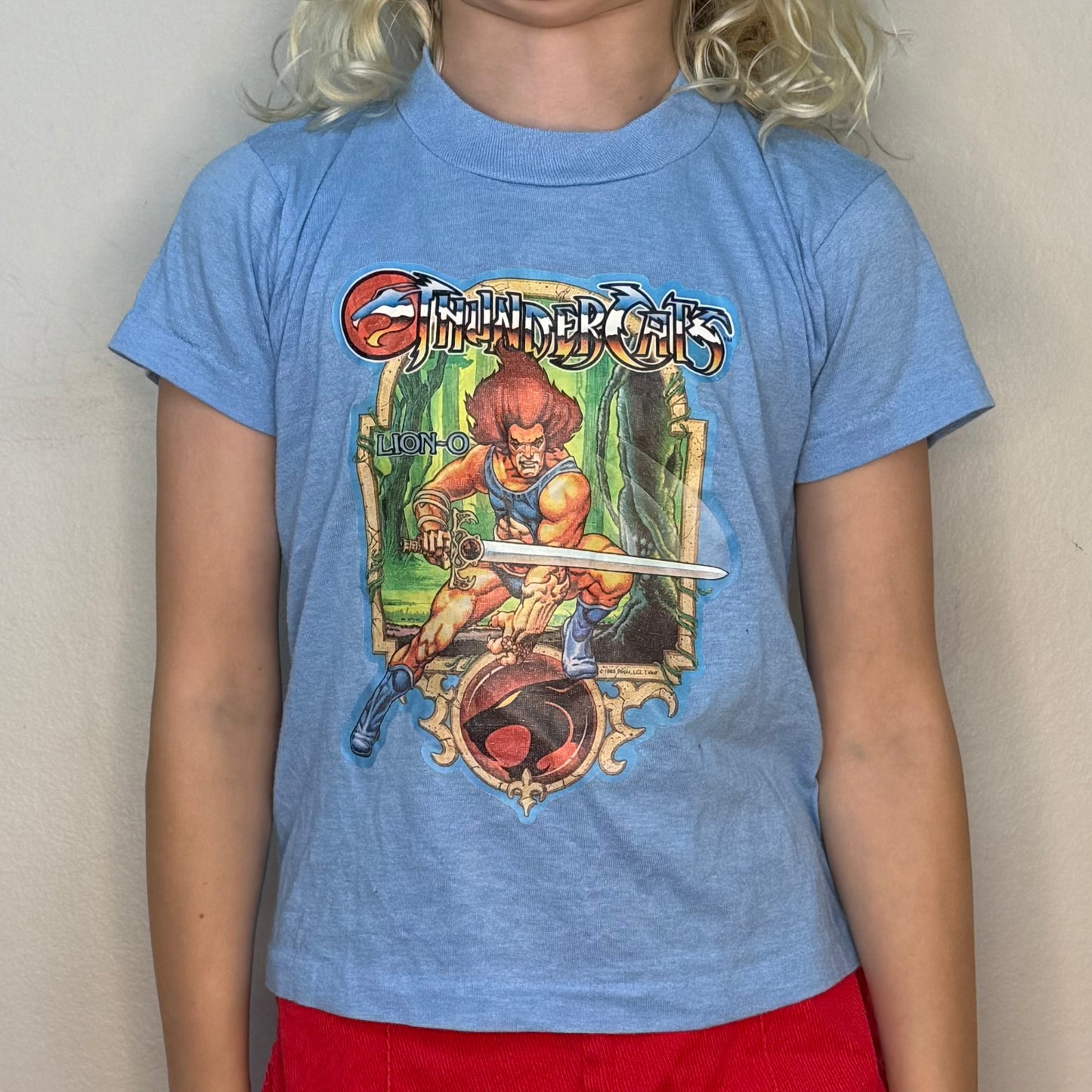 1980s Kids' Thundercats T-Shirt, Lion-O, Fruit of the Loom Size 6-8