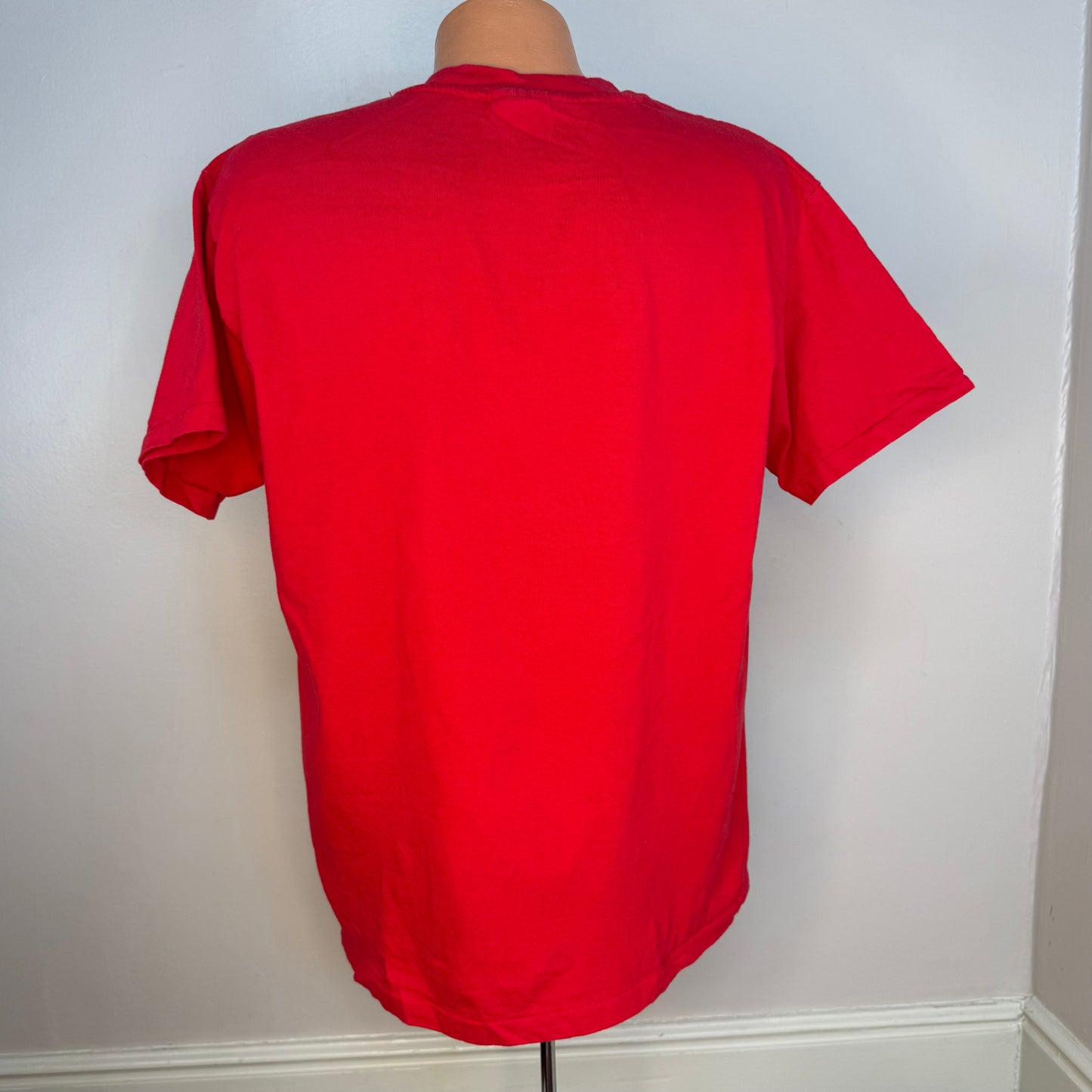 1990s PFLAG T-Shirt, Parents Families and Friends of Lesbians and Gays, Hanes Size Large