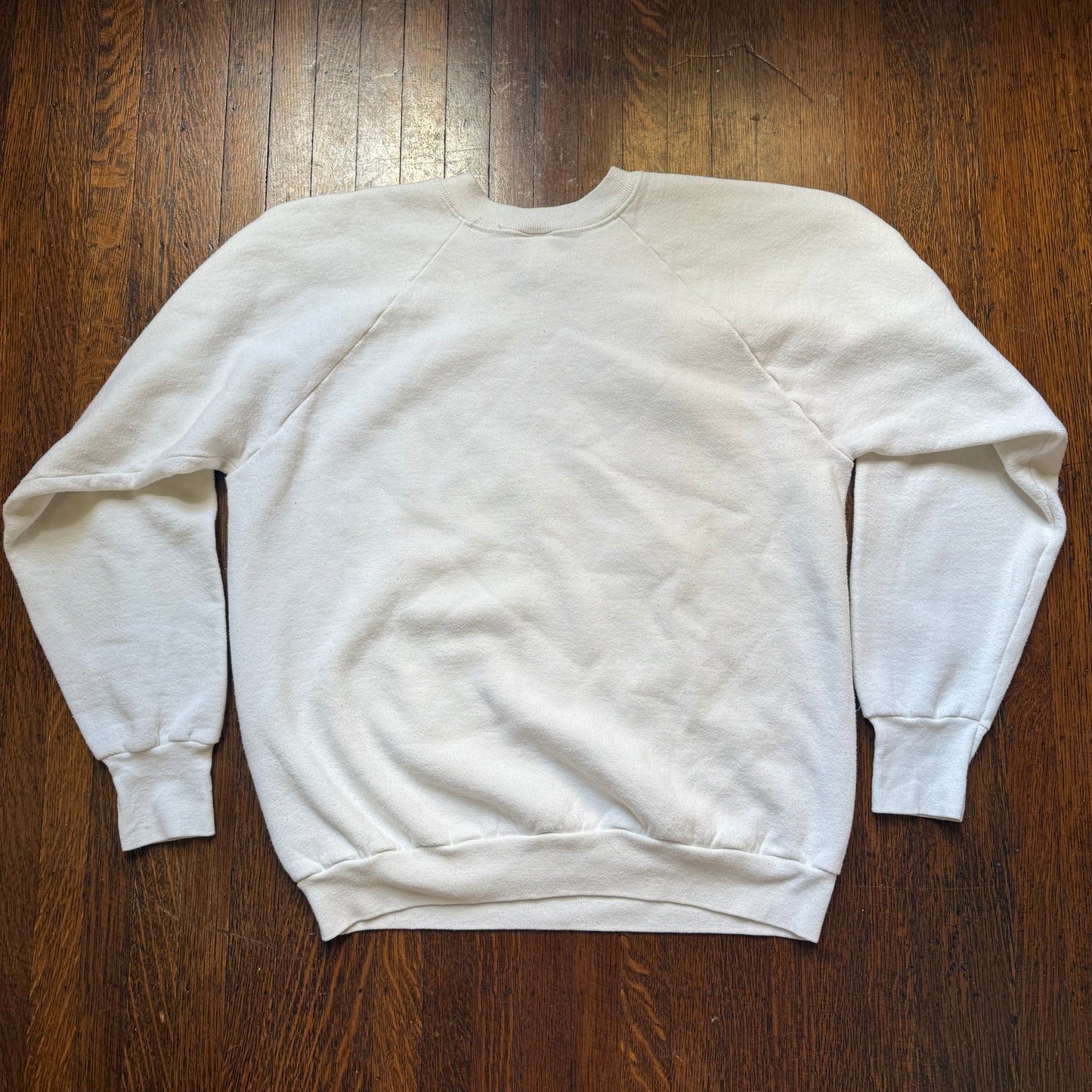 1980s/90s Memphis TN Sweatshirt, MTV Logo, Tiger Print, Size Medium