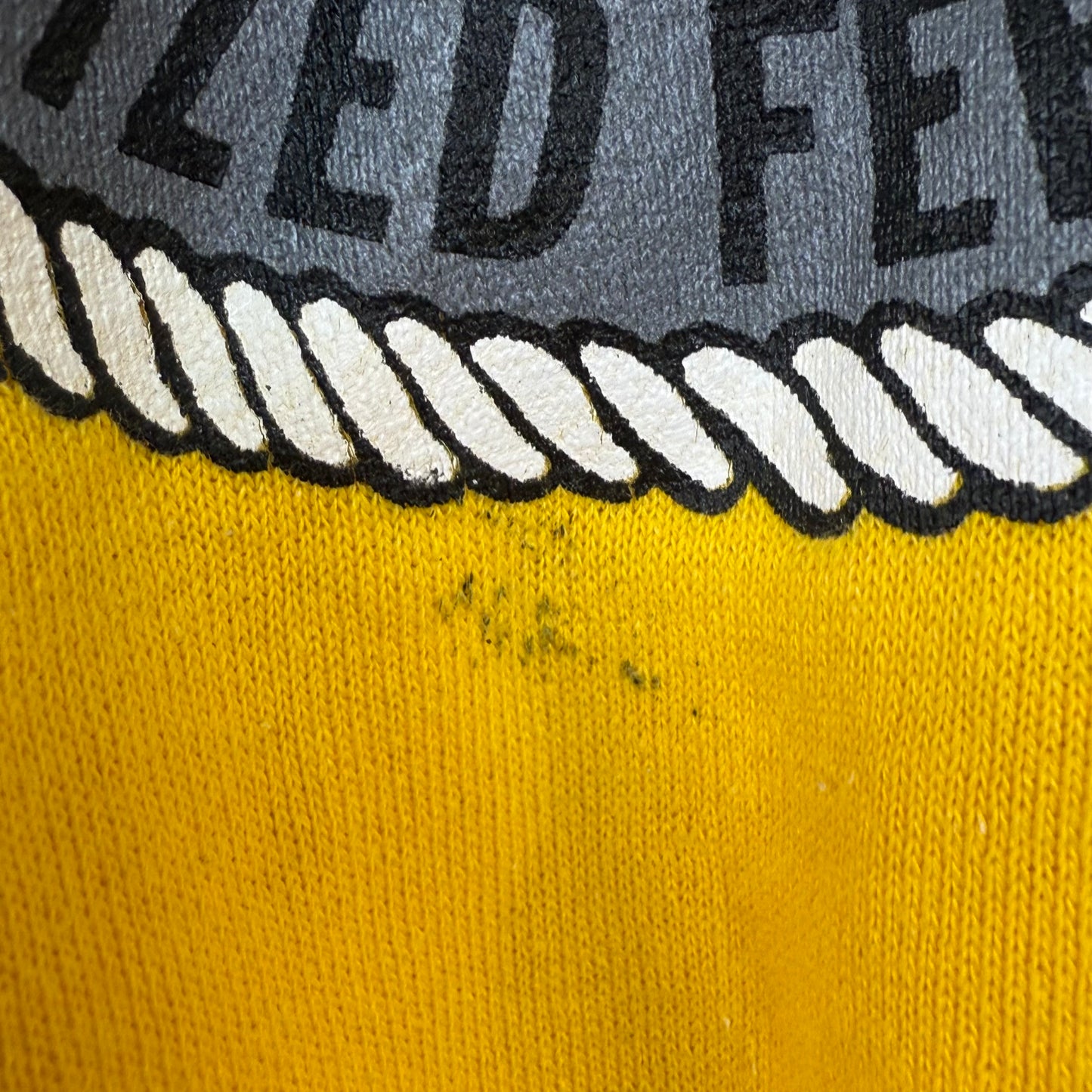 1980s State University of Iowa Sweatshirt, Pannill Size Large