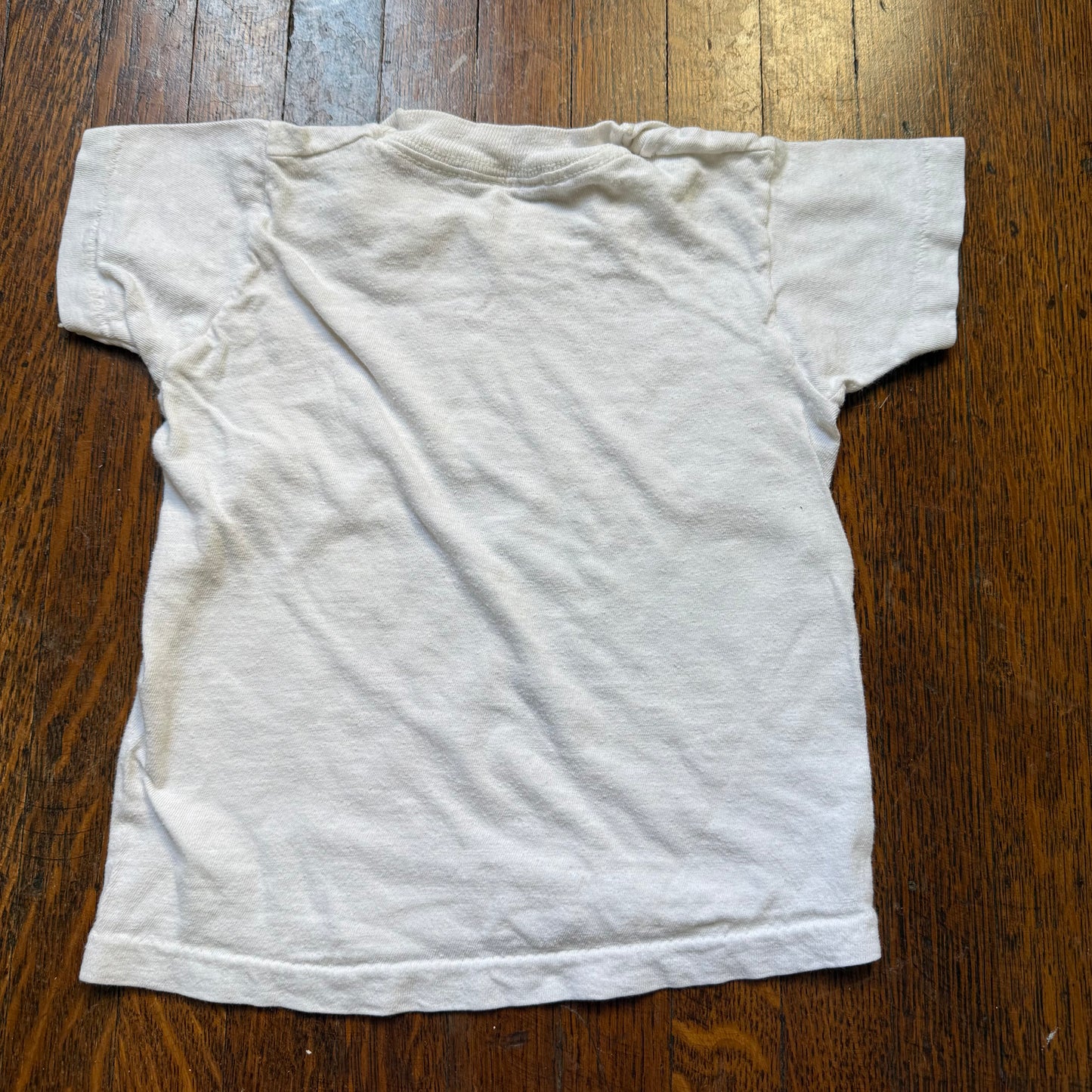1970s Casey Jones Home Railroad Museum T-Shirt, Jackson Tennessee, Fruit of the Loom Size 18m