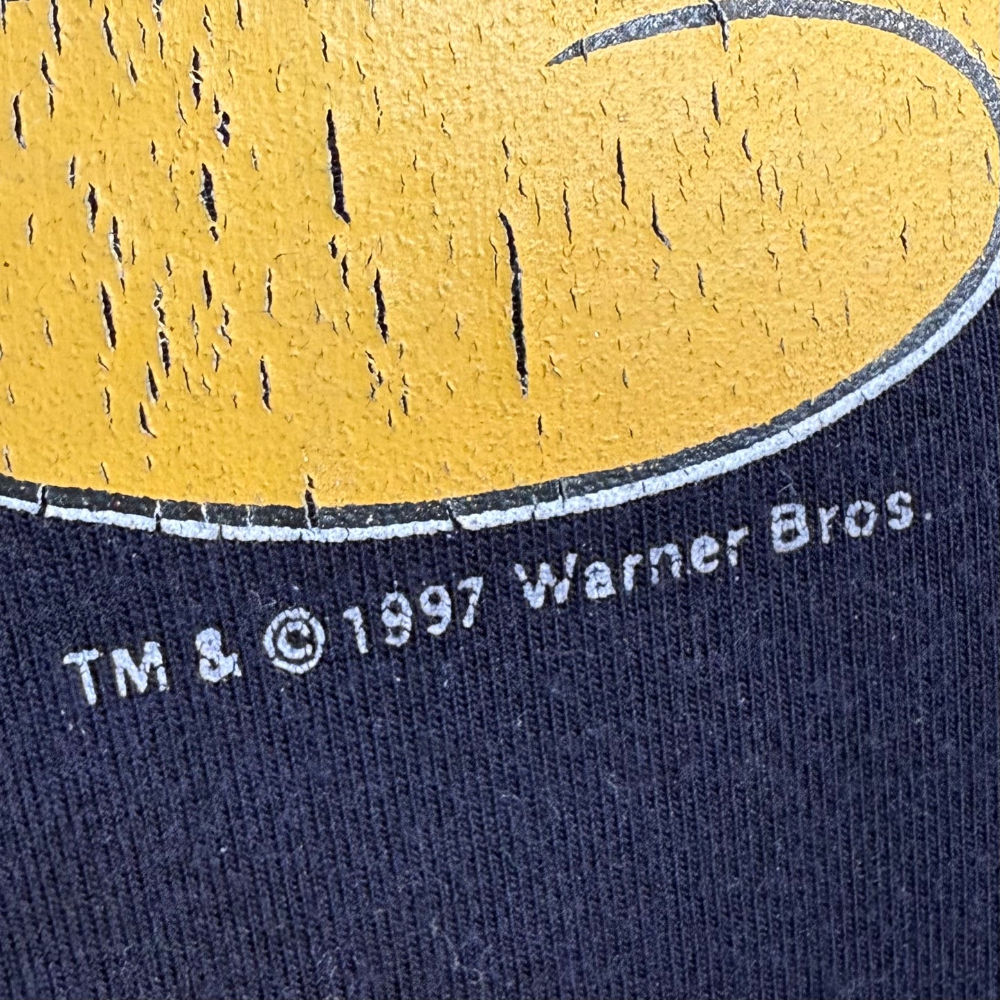 1990s Tweety Bird Swimsuit, Looney Tunes Size XS