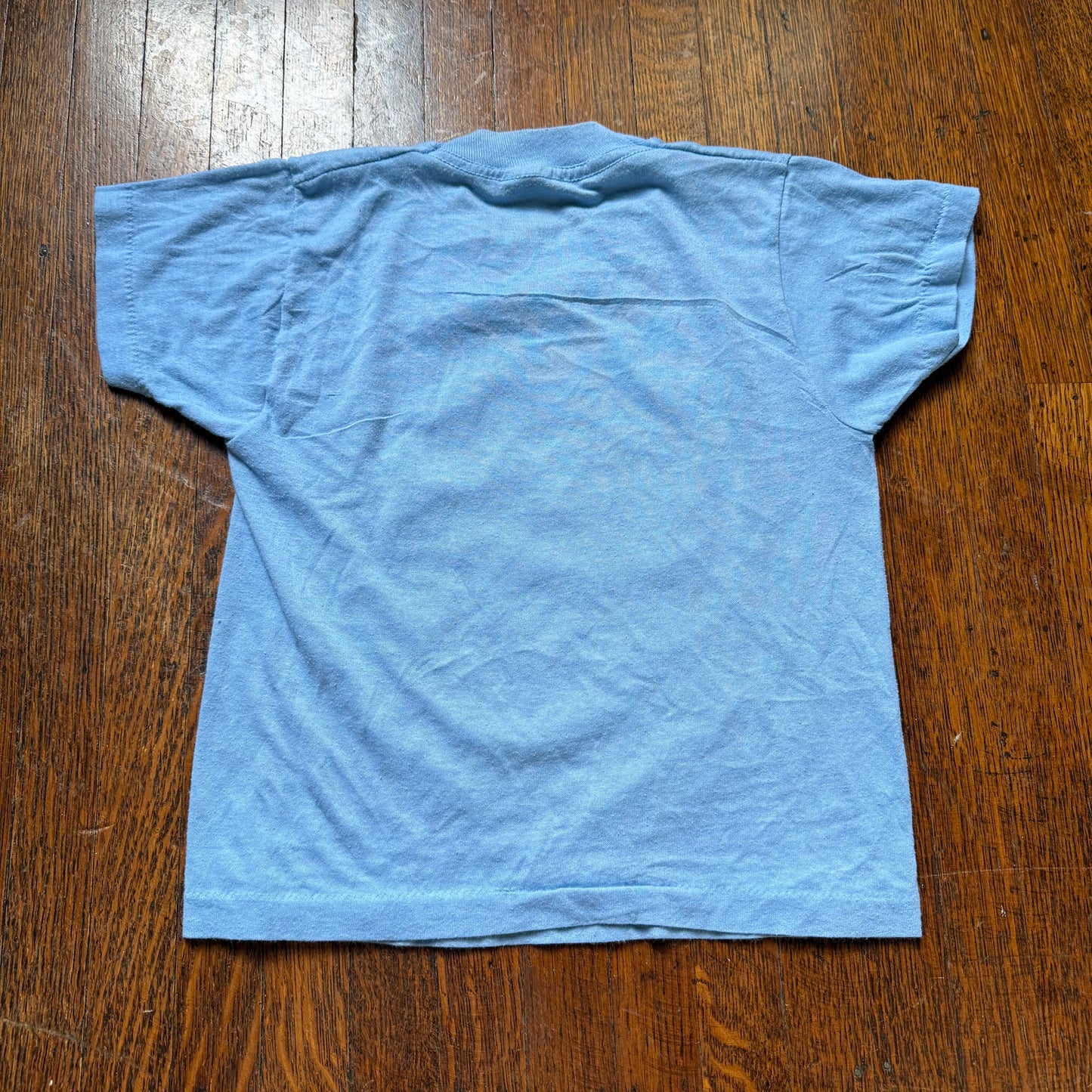1980s Kids' Thundercats T-Shirt, Lion-O, Fruit of the Loom Size 6-8