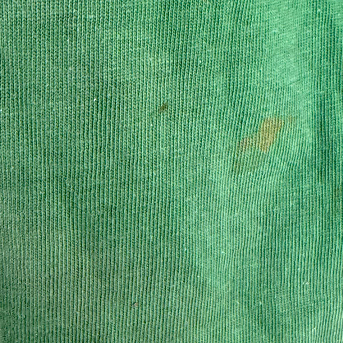 1940s Green Cotton Jersey T-Shirt, Central High Memphis AA, Champion Knitwear Company Running Man Size Medium