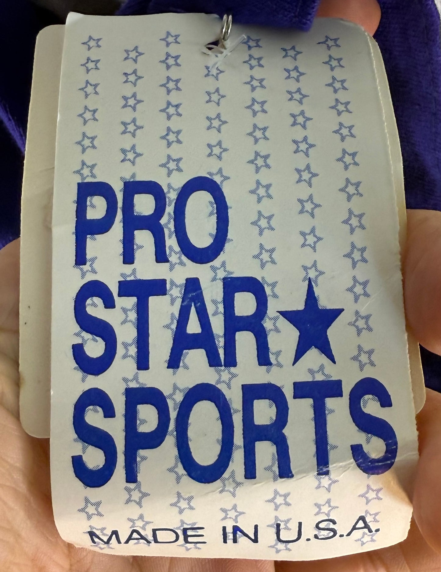 1990s LSU Tigers Hooded T-Shirt, Color Block, Louisiana State University, Pro Star Sports Size Large/XL