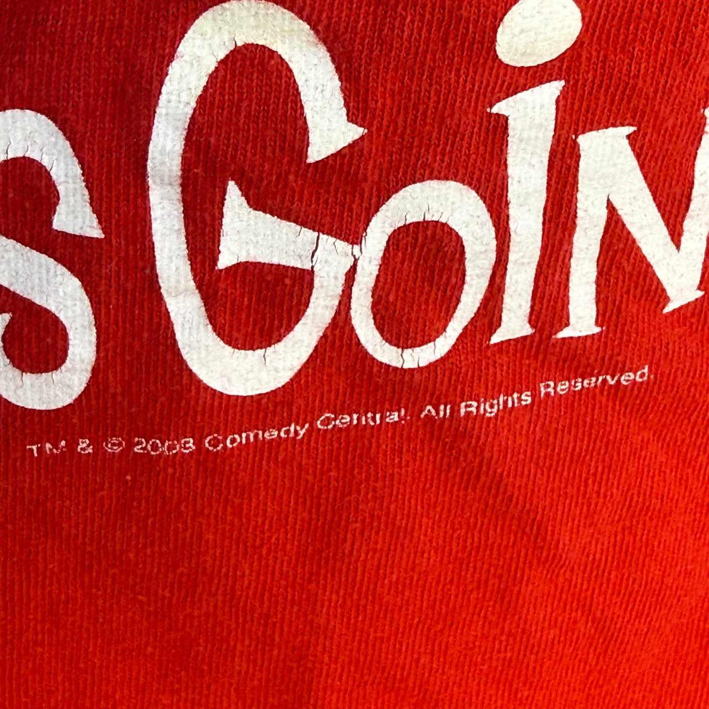 Y2K South Park Towelie T-Shirt, I Have No Idea What’s Going On, 2003 Comedy Central, Gildan Size Large