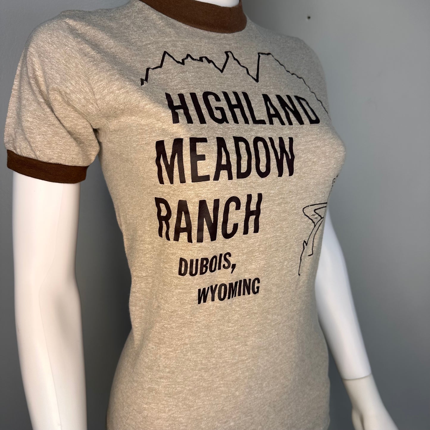 1980s Highland Meadow Ranch Dubois Wyoming T-Shirt, Bantams Size XS, Brown Heather Ringer Tee