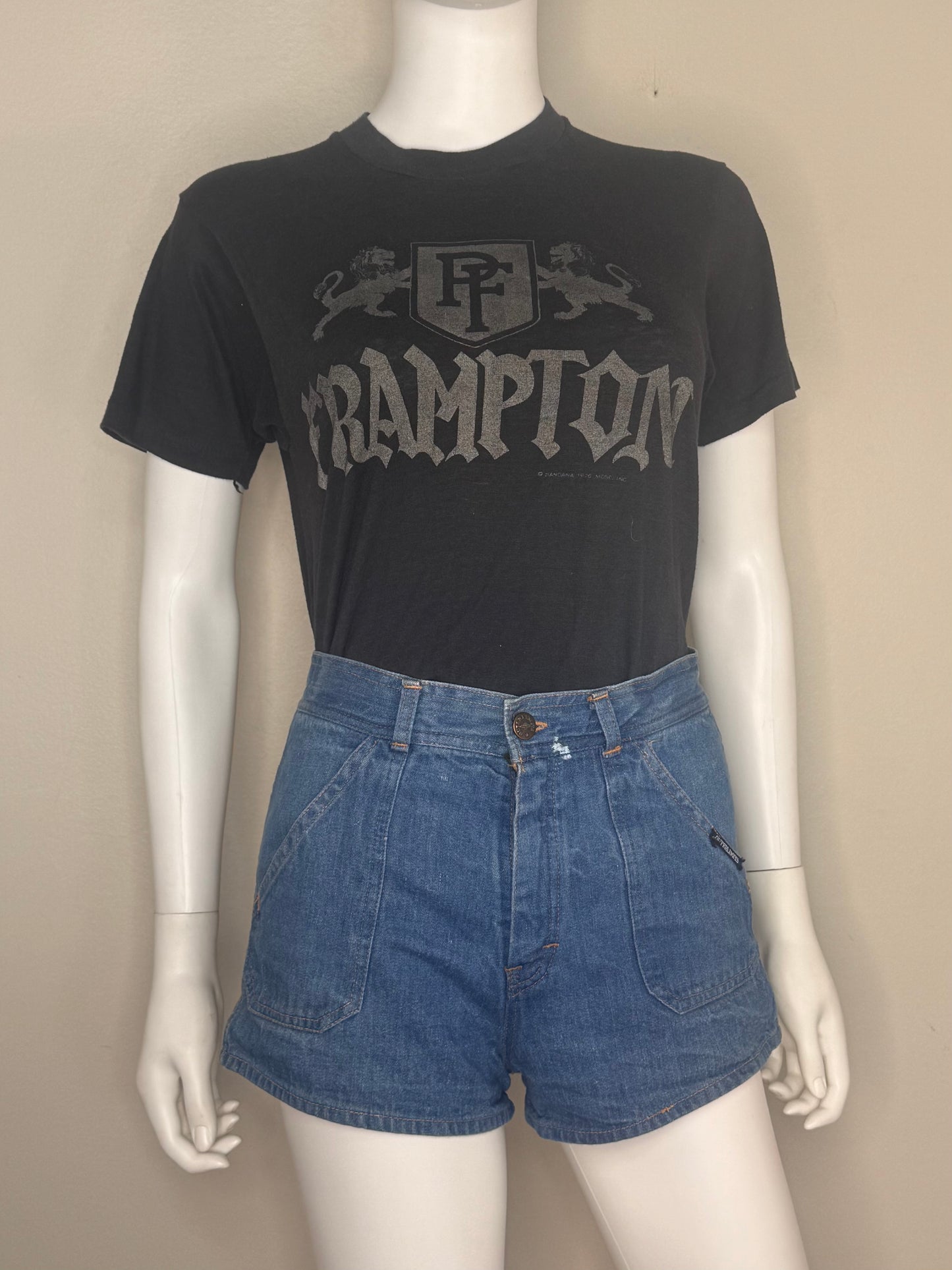 1970s Peter Frampton Concert T-Shirt, Back on the Road Summer Tour ‘79, Size Small