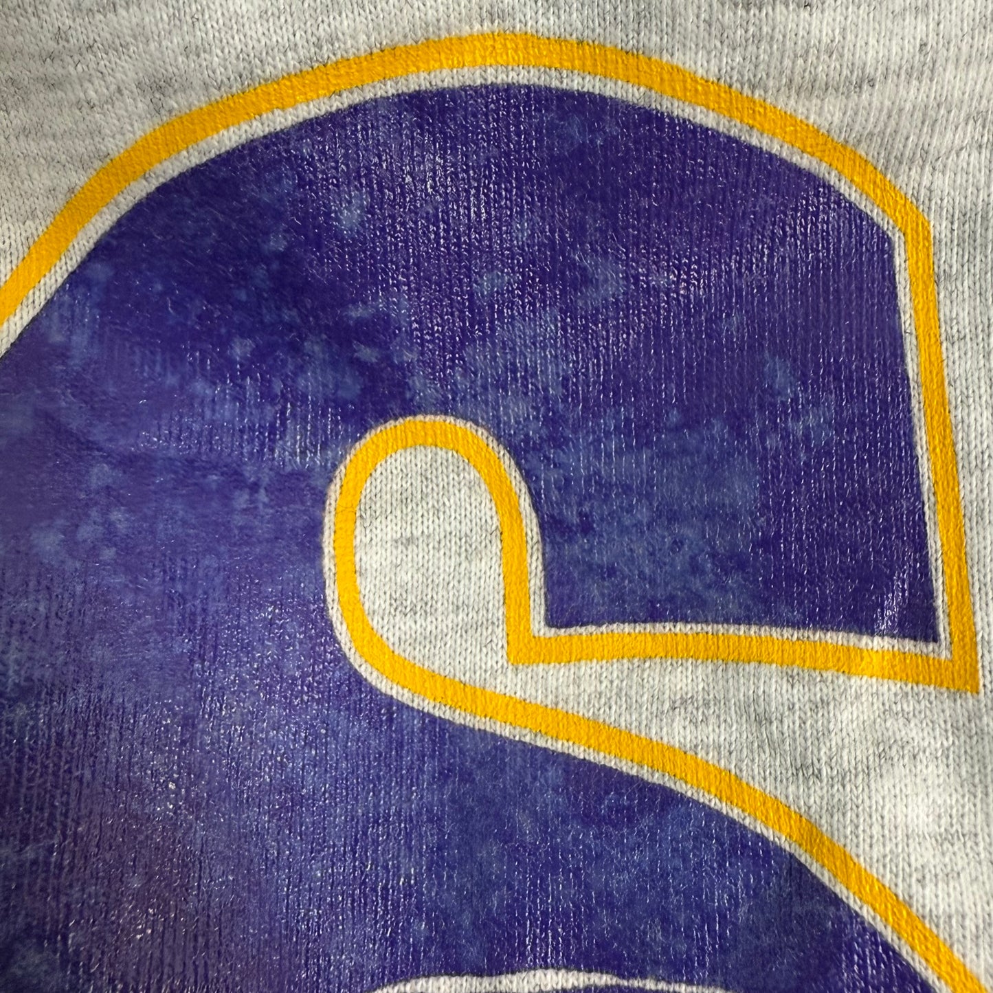 1990s LSU Tigers Hooded T-Shirt, Color Block, Louisiana State University, Pro Star Sports Size Large/XL