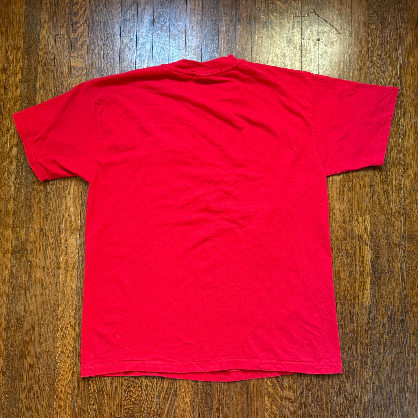 1990s PFLAG T-Shirt, Parents Families and Friends of Lesbians and Gays, Hanes Size Large