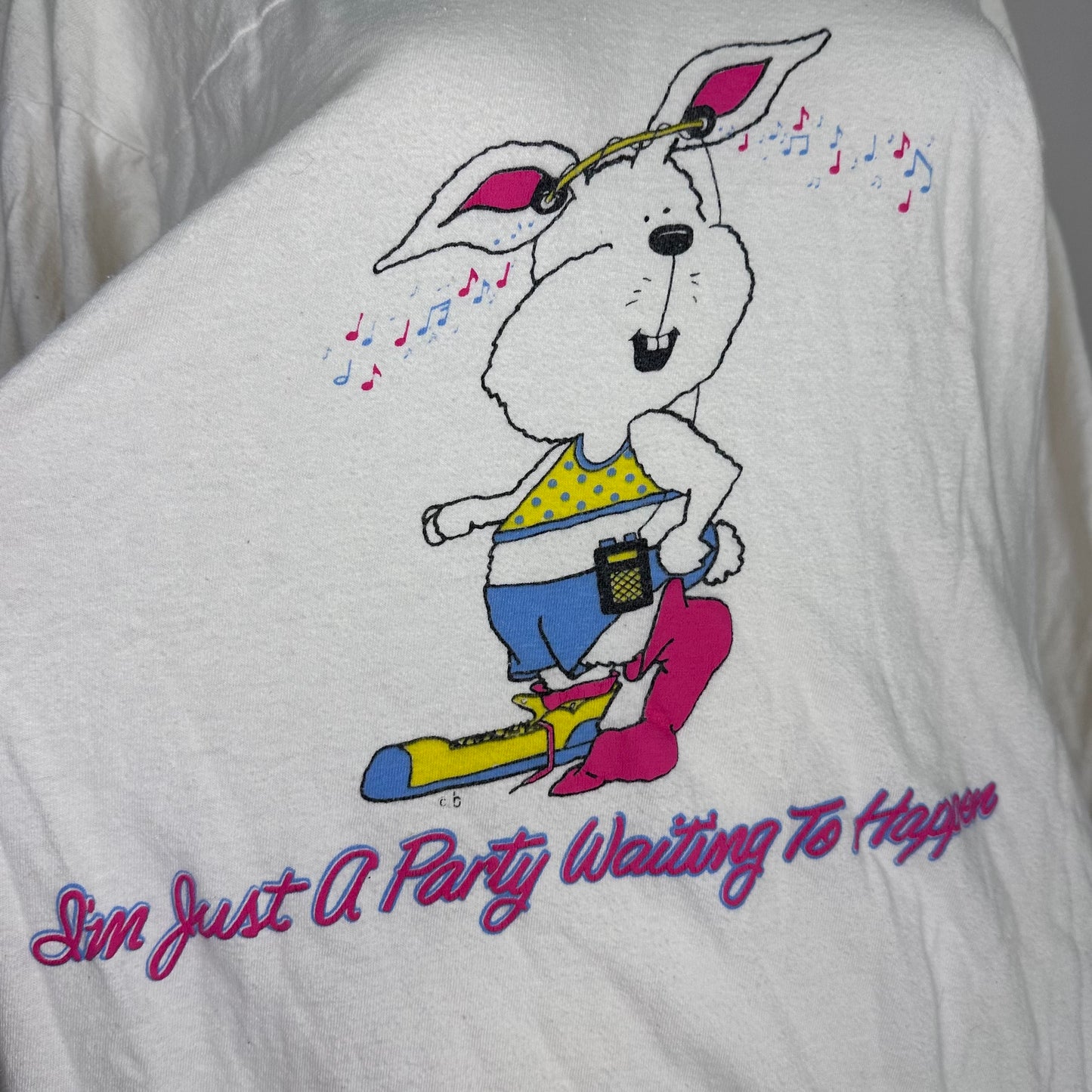 1980s T-Shirt Nightgown, I’m Just a Party Waiting to Happen Bunny, Whirled Famous Designs One Size (Small-Large)