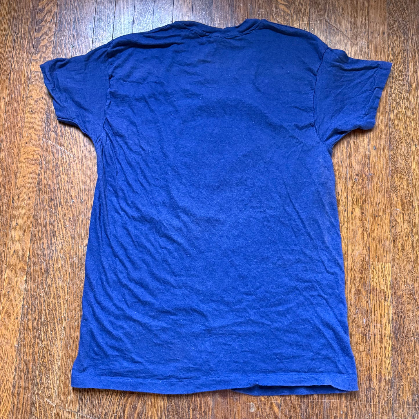 1970s Dolly Parton T-Shirt, Hanes Size Medium, Distressed Sun Faded