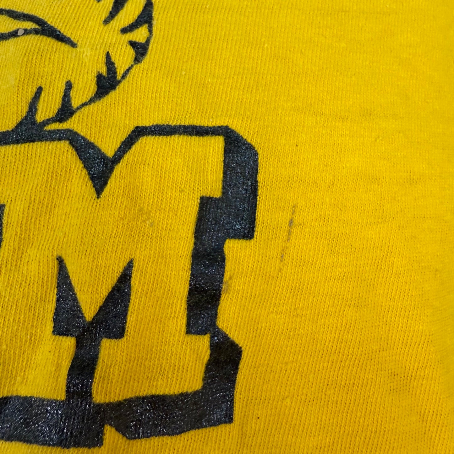 1970s UM Tigers T-Shirt, University of Missouri, Mizzou, Champion Blue Bar Size Large, Distressed