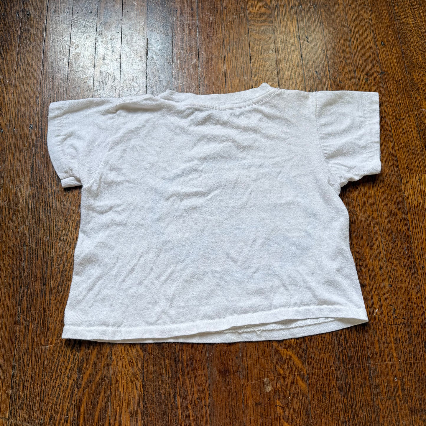 1980s Sea World Cropped T-Shirt, Shamu Orca Whale, Size 8/10