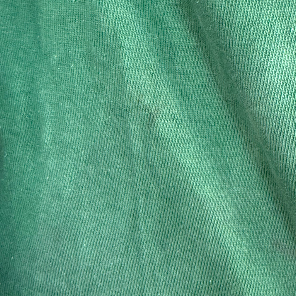 1940s Green Cotton Jersey T-Shirt, Central High Memphis AA, Champion Knitwear Company Running Man Size Medium
